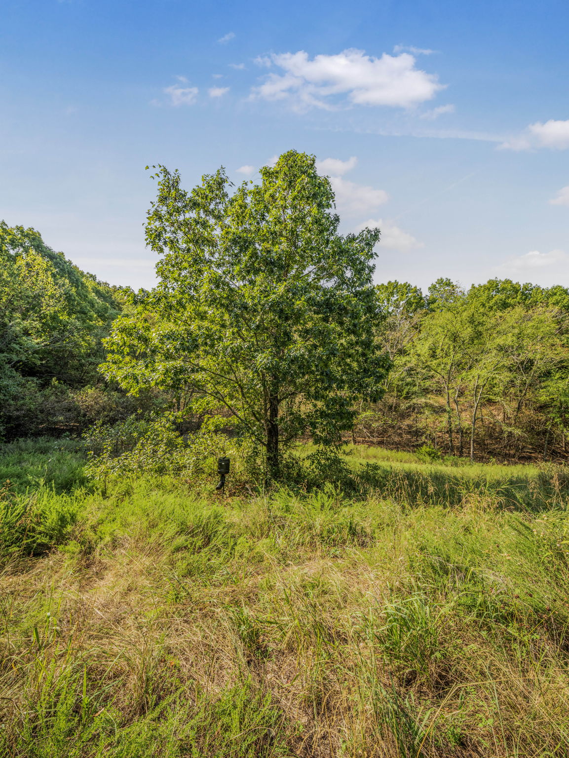 238 W Baker Road Property Photo 62