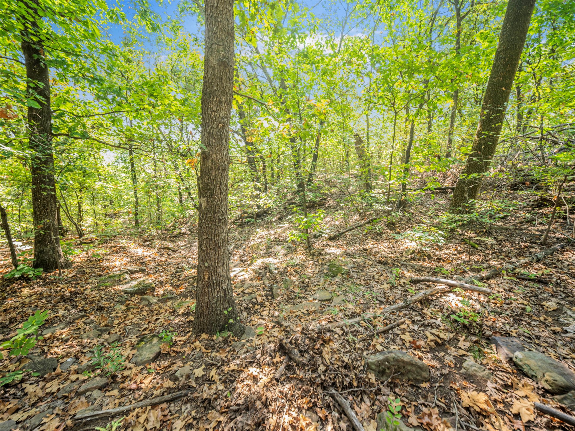 238 W Baker Road Property Photo 64