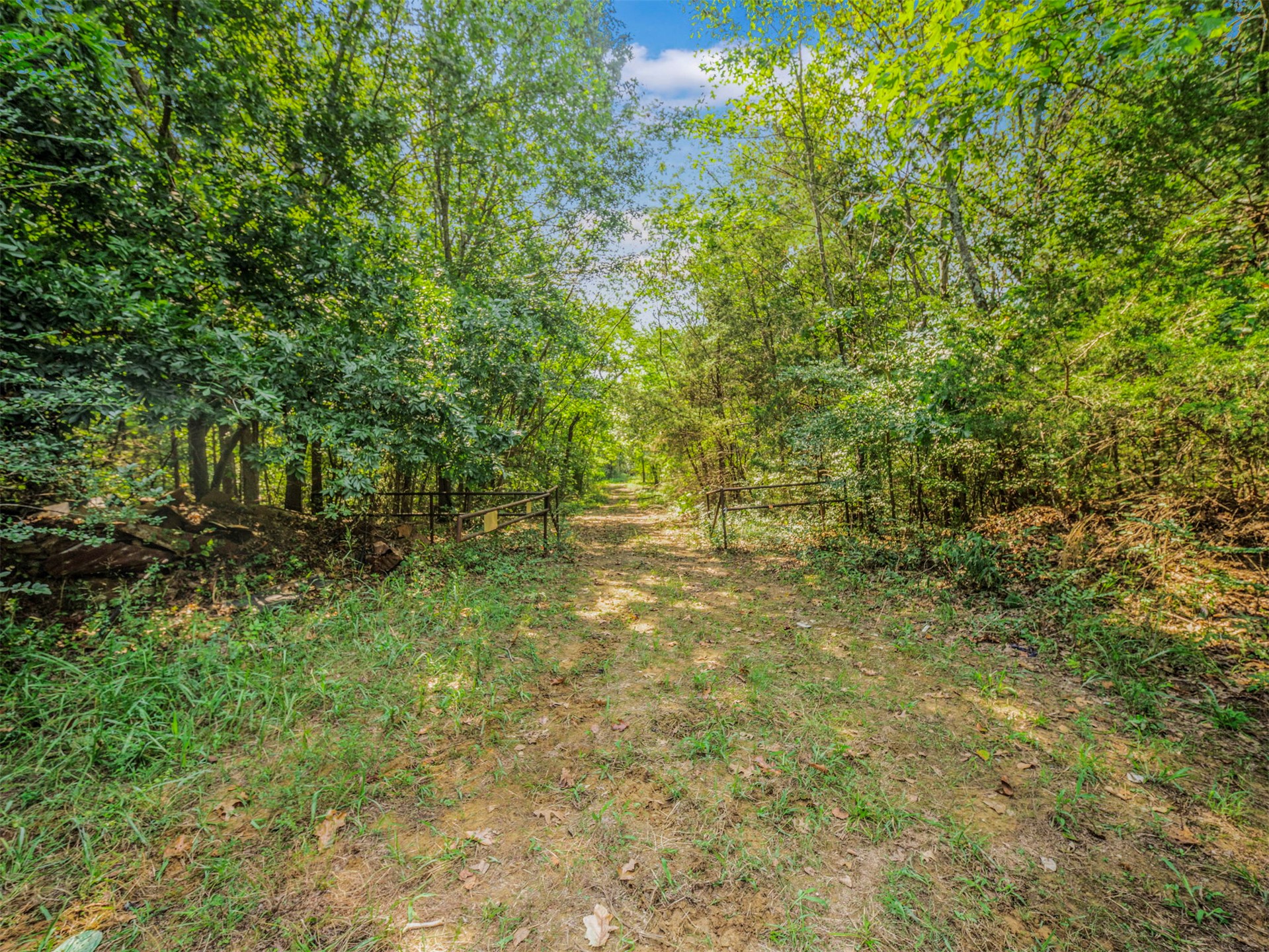 238 W Baker Road Property Photo 65
