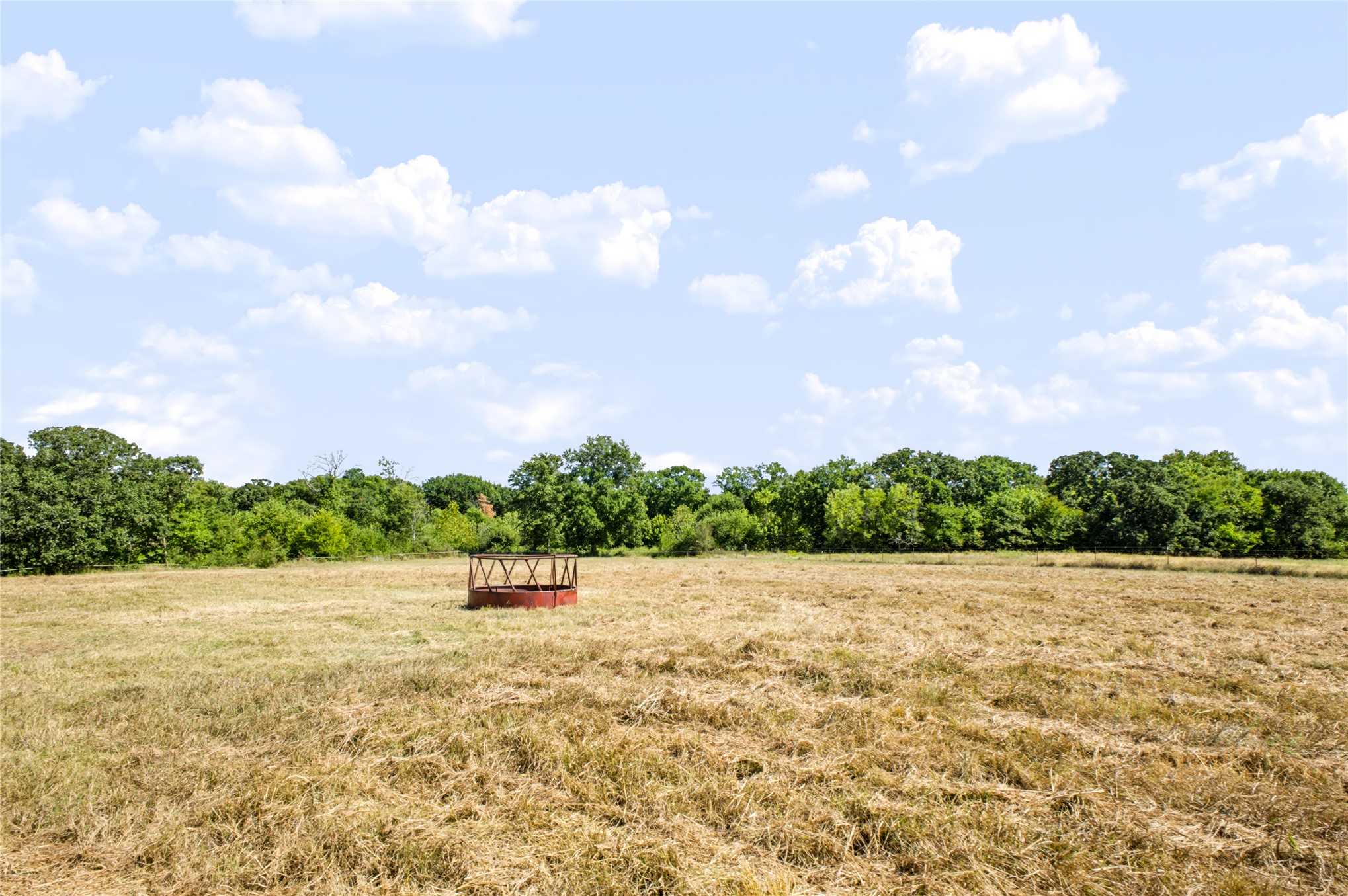 1205 County Road 1650 Property Photo 49