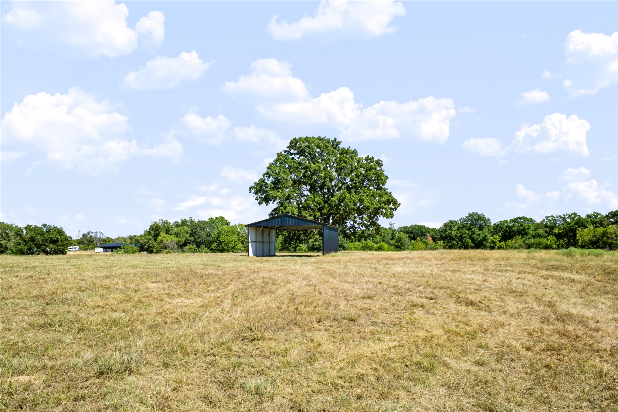 1205 County Road 1650 Property Photo 50