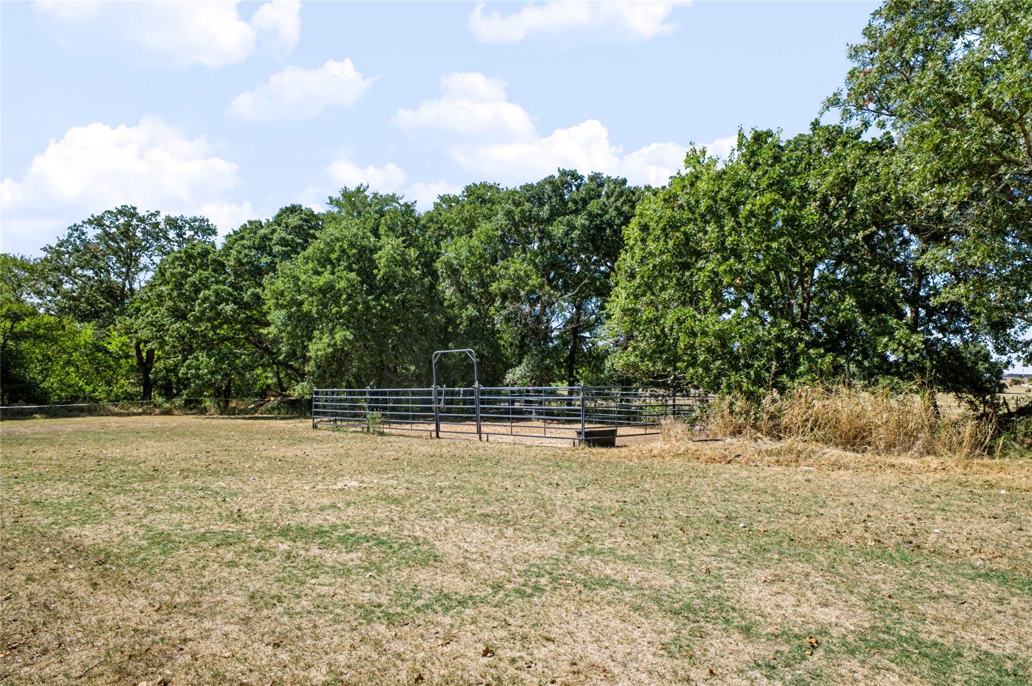 1205 County Road 1650 Property Photo 51