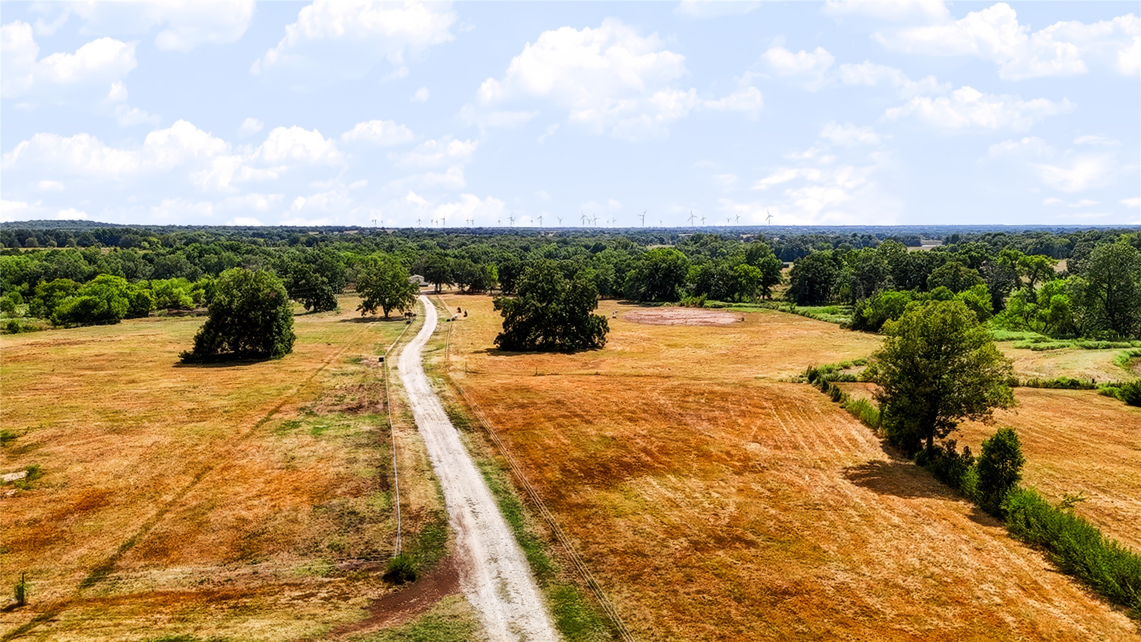 1205 County Road 1650 Property Photo 58