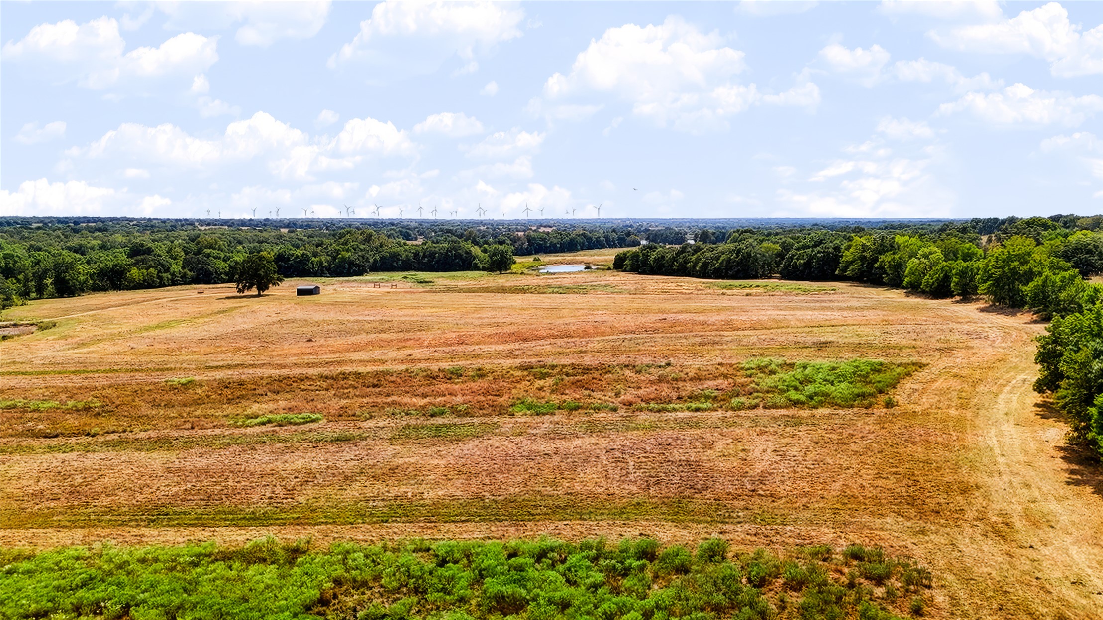 1205 County Road 1650 Property Photo 61