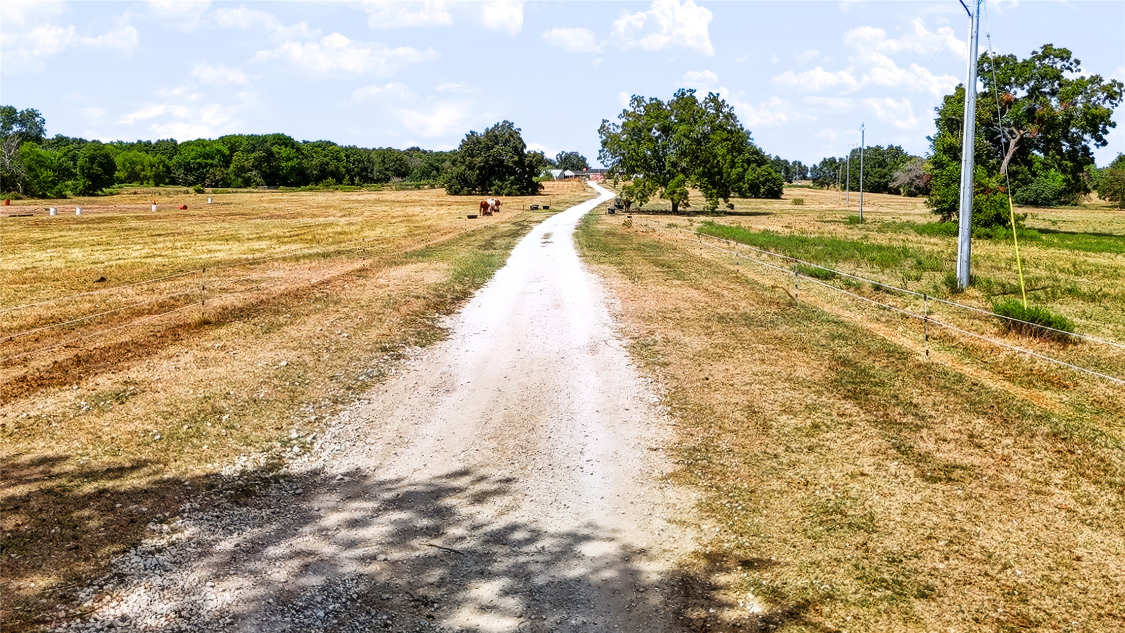1205 County Road 1650 Property Photo 69