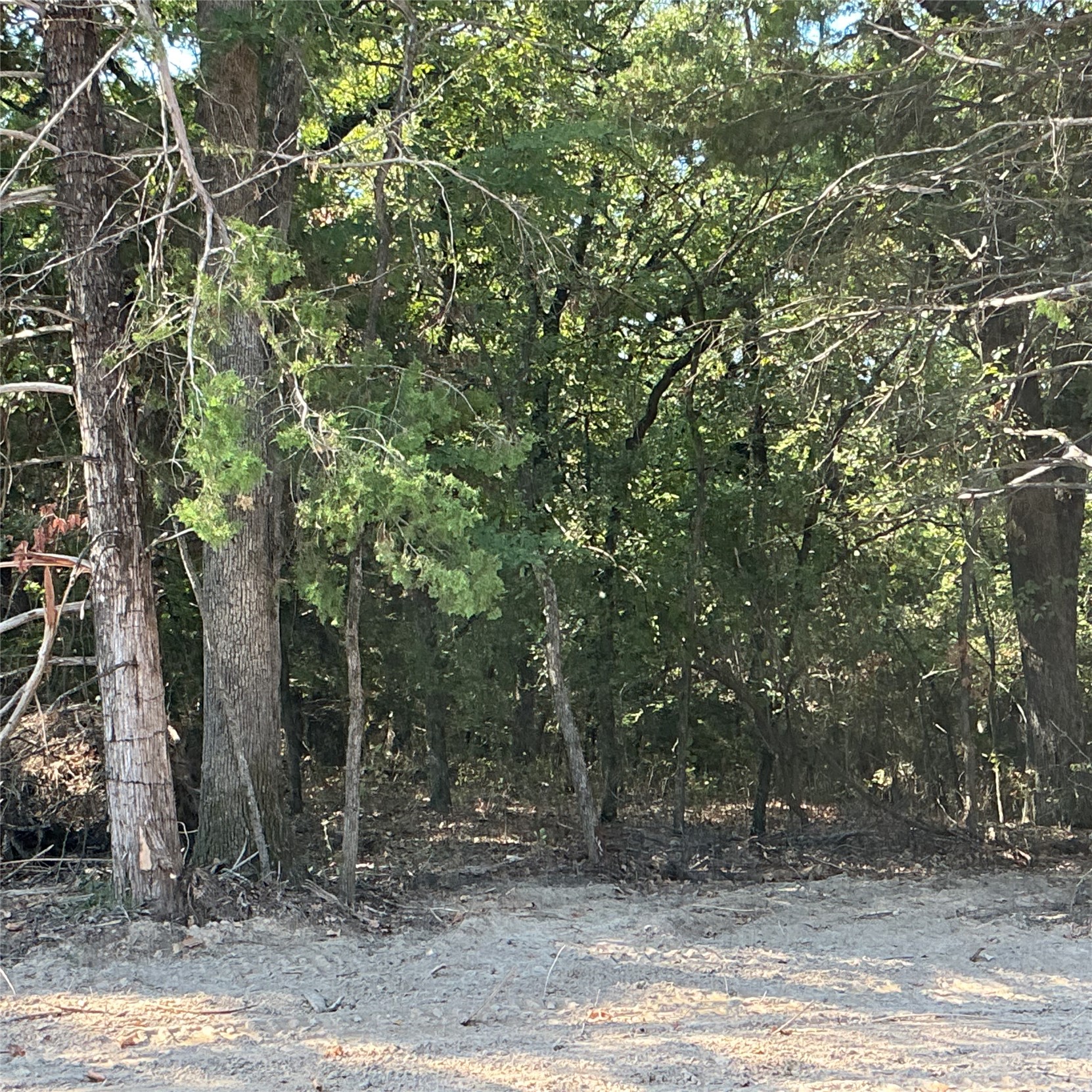 Copper Creek Circle Property Photo 4