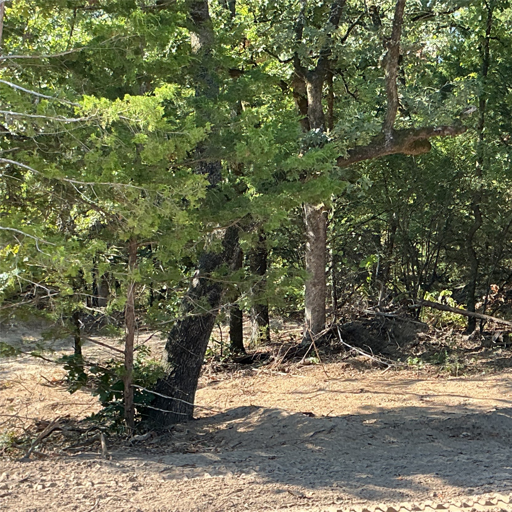 Copper Creek Circle Property Photo 5