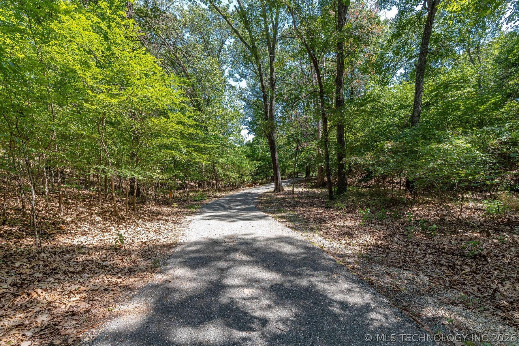 100 Skyline Drive Property Photo 21