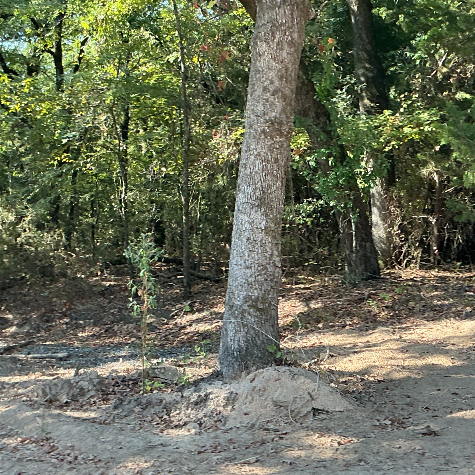 Copper Creek Circle Property Photo 4