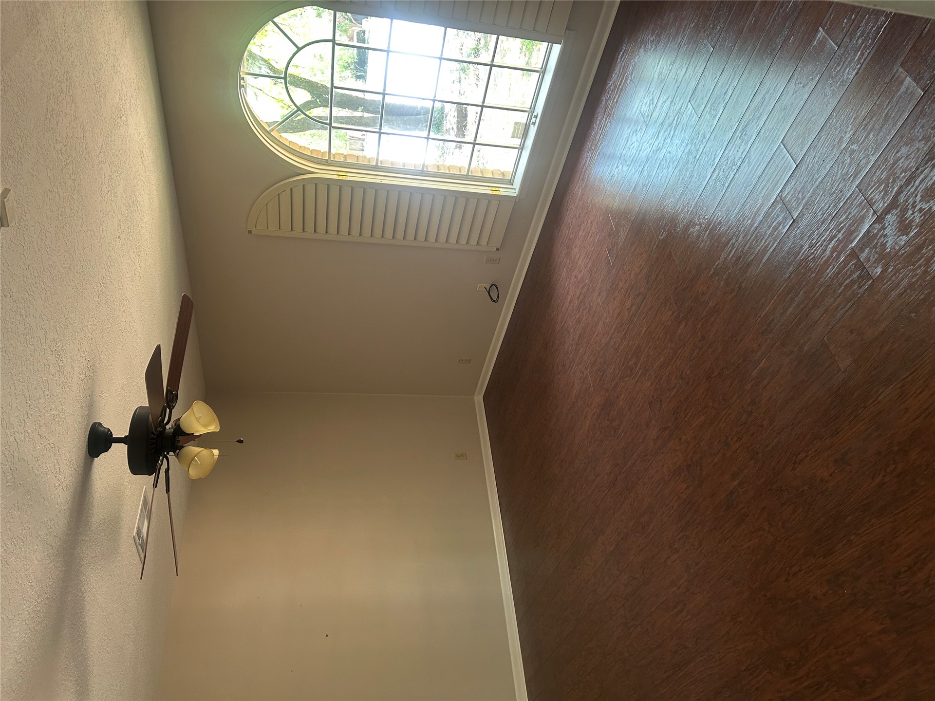 2913 Springdale Lane Property Photo 31