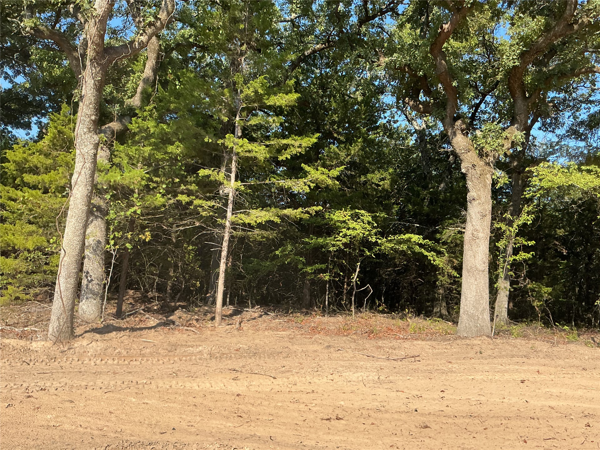 16 Copper Creek Circle Property Photo 6