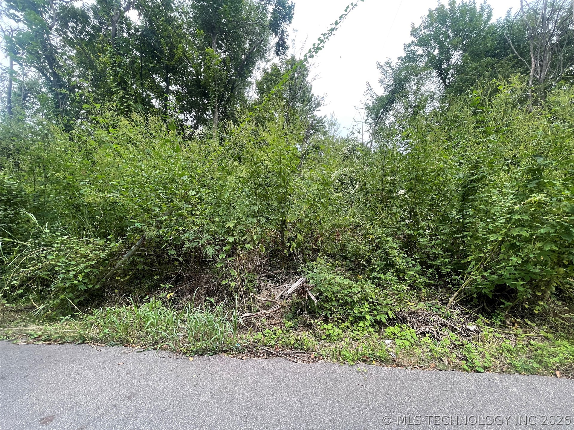 Tamaroa Street Property Photo 2