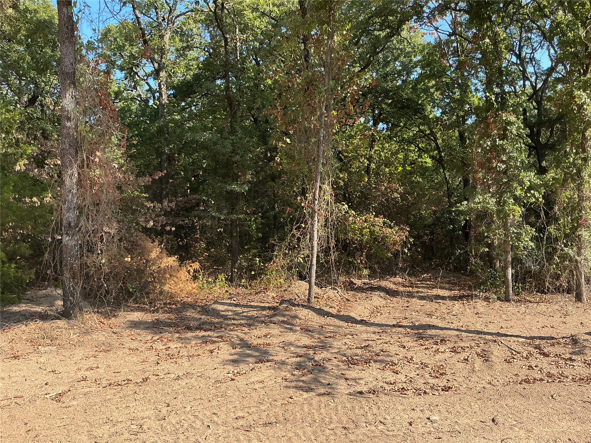 Copper Creek Circle Property Photo 6