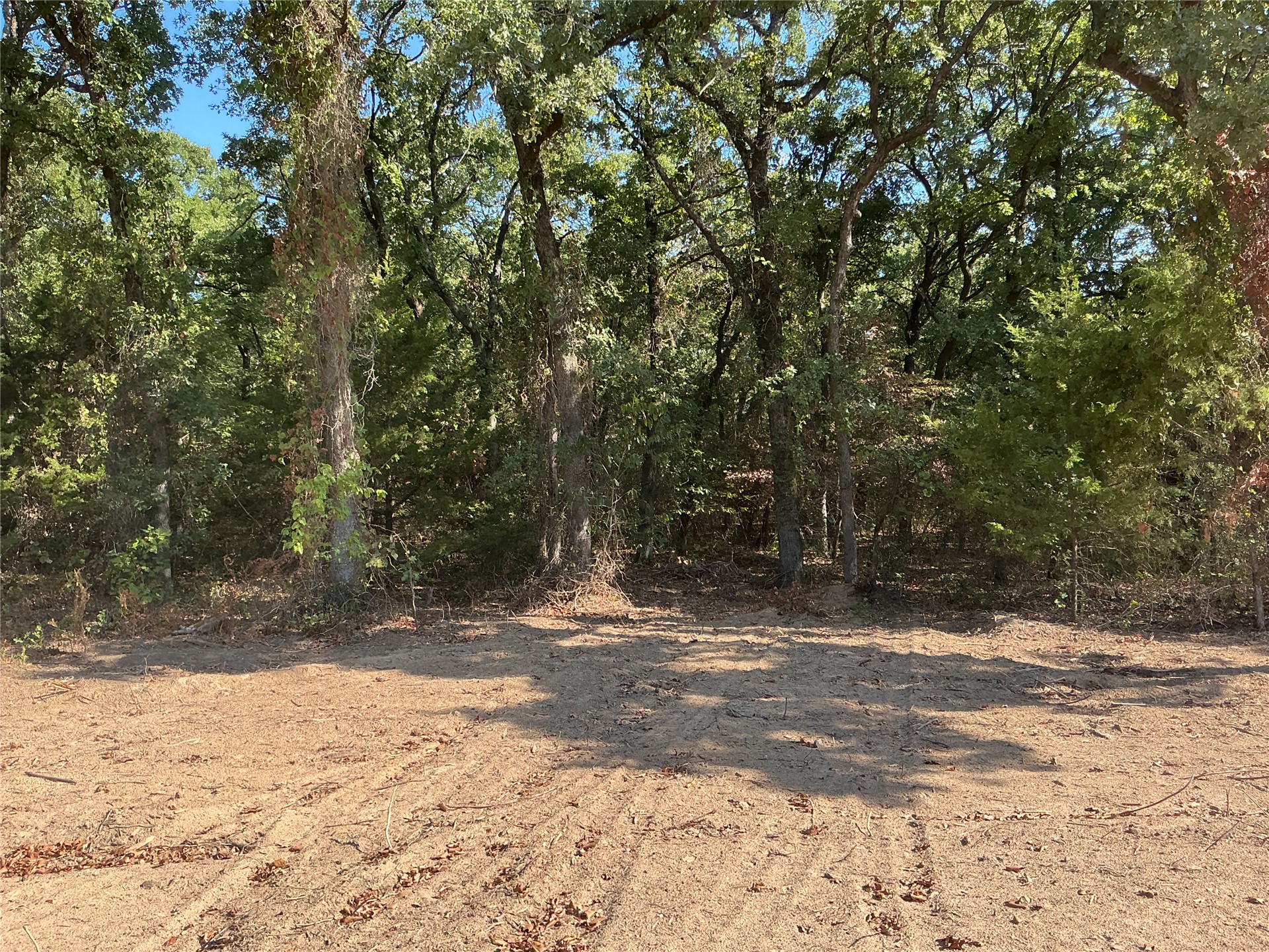 Copper Creek Circle Property Photo 7
