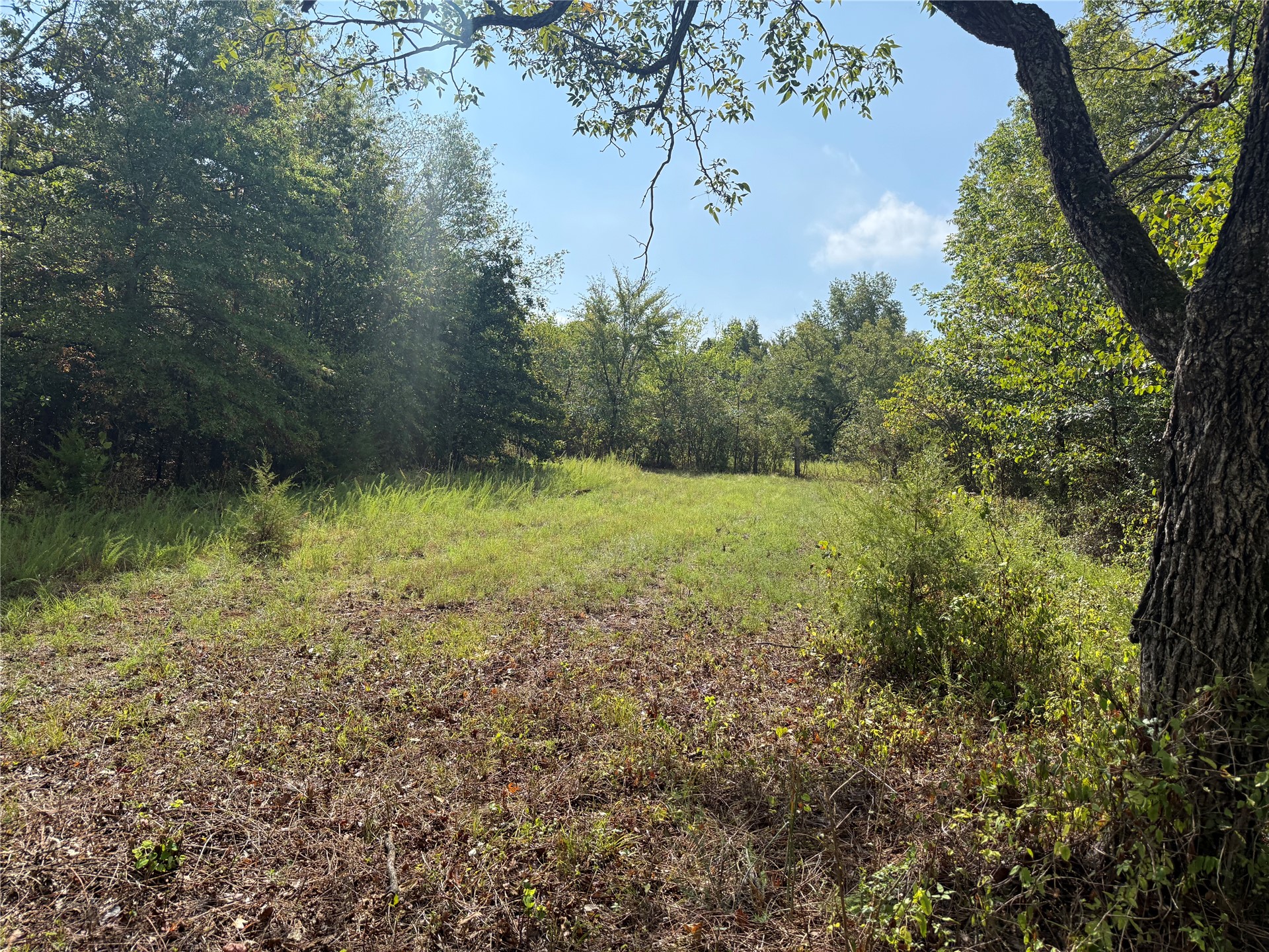 415042 E 1097 Property Photo 14