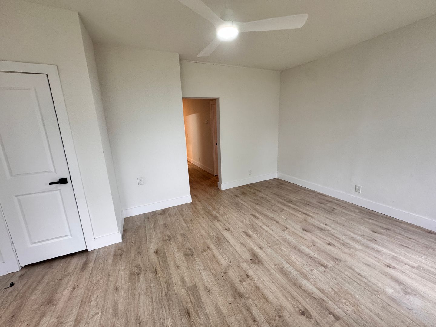 1002 Mclish Property Photo 7