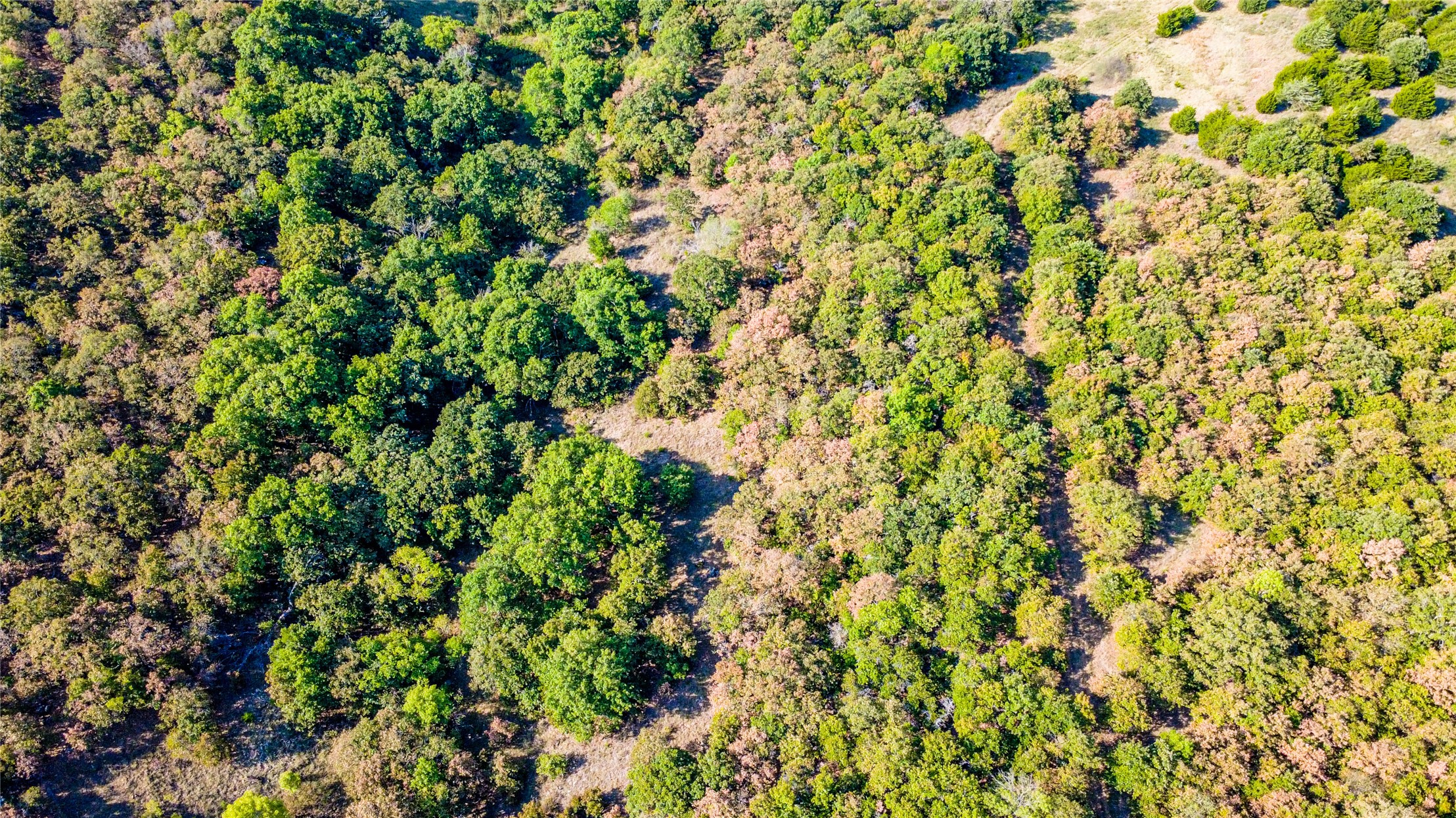 0000 2350 Road Property Photo 9
