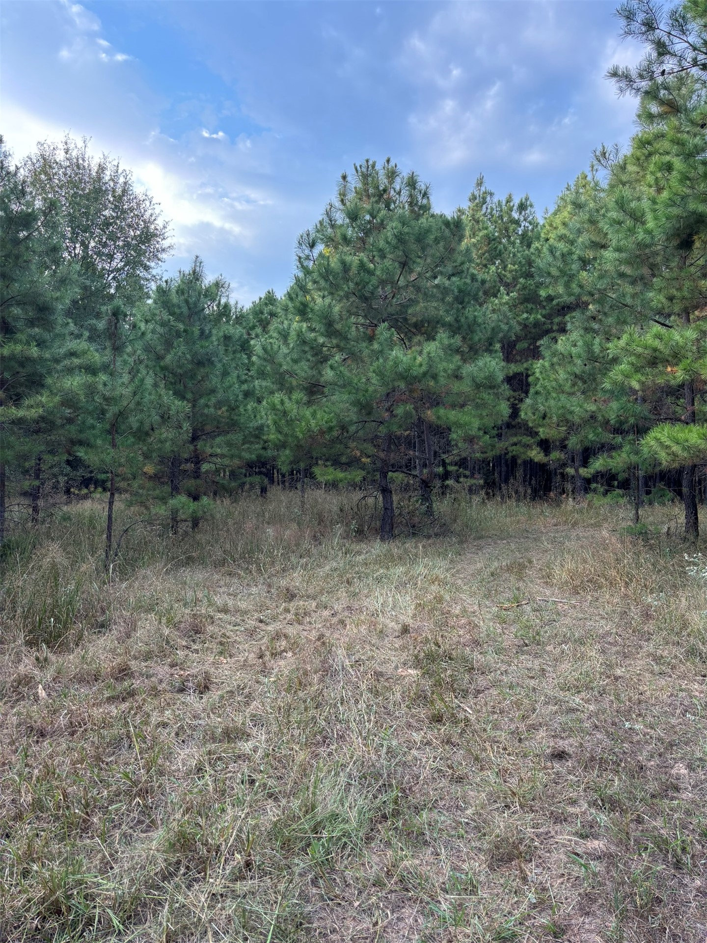 Hwy 3 Property Photo 10