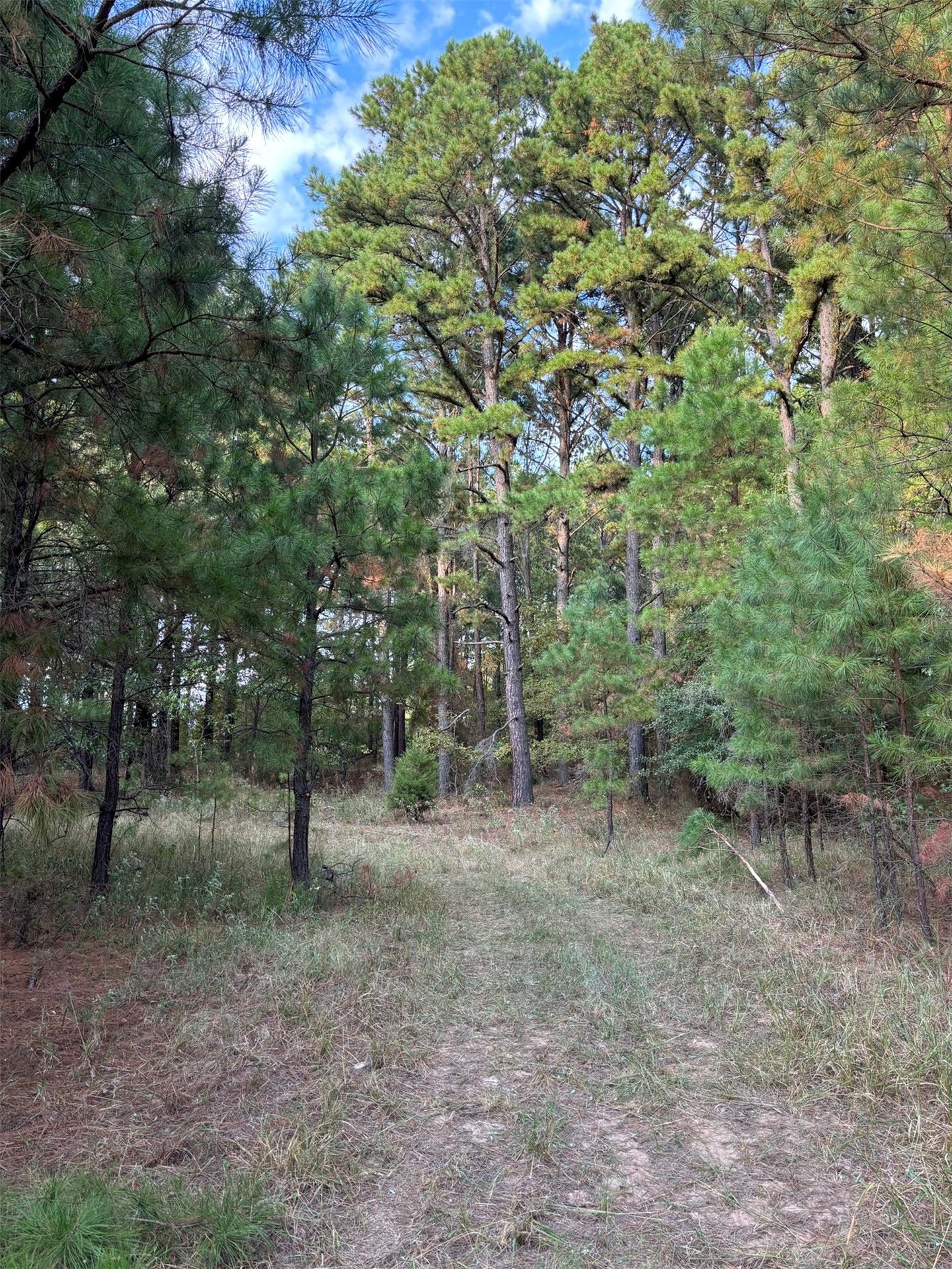 Hwy 3 Property Photo 11