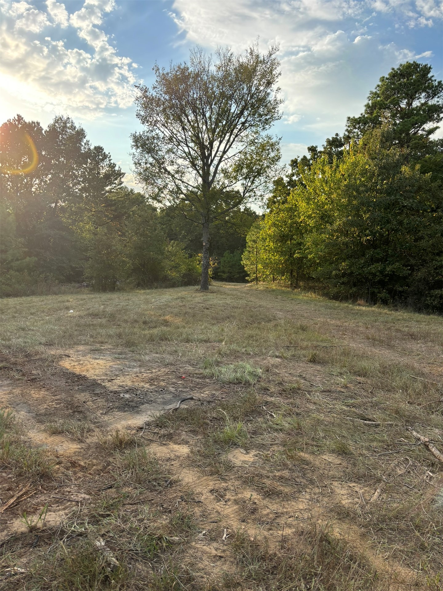 Hwy 3 Property Photo 14