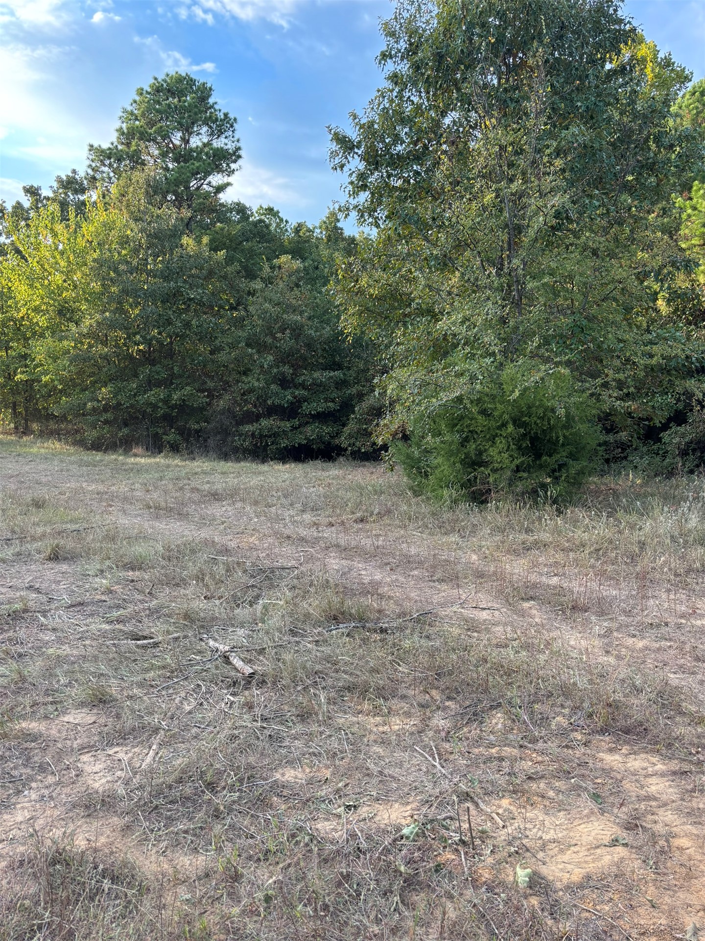 Hwy 3 Property Photo 15