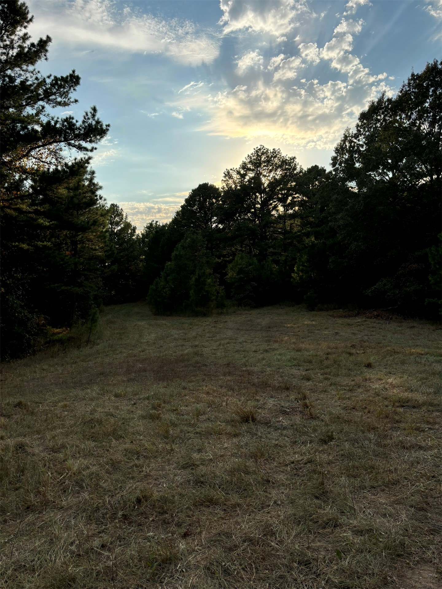 Hwy 3 Property Photo 16