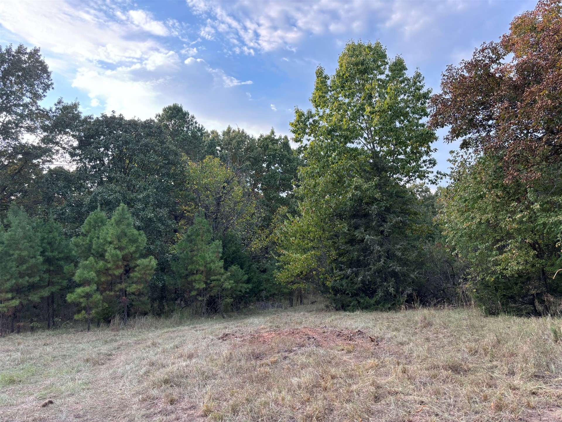 Hwy 3 Property Photo 18