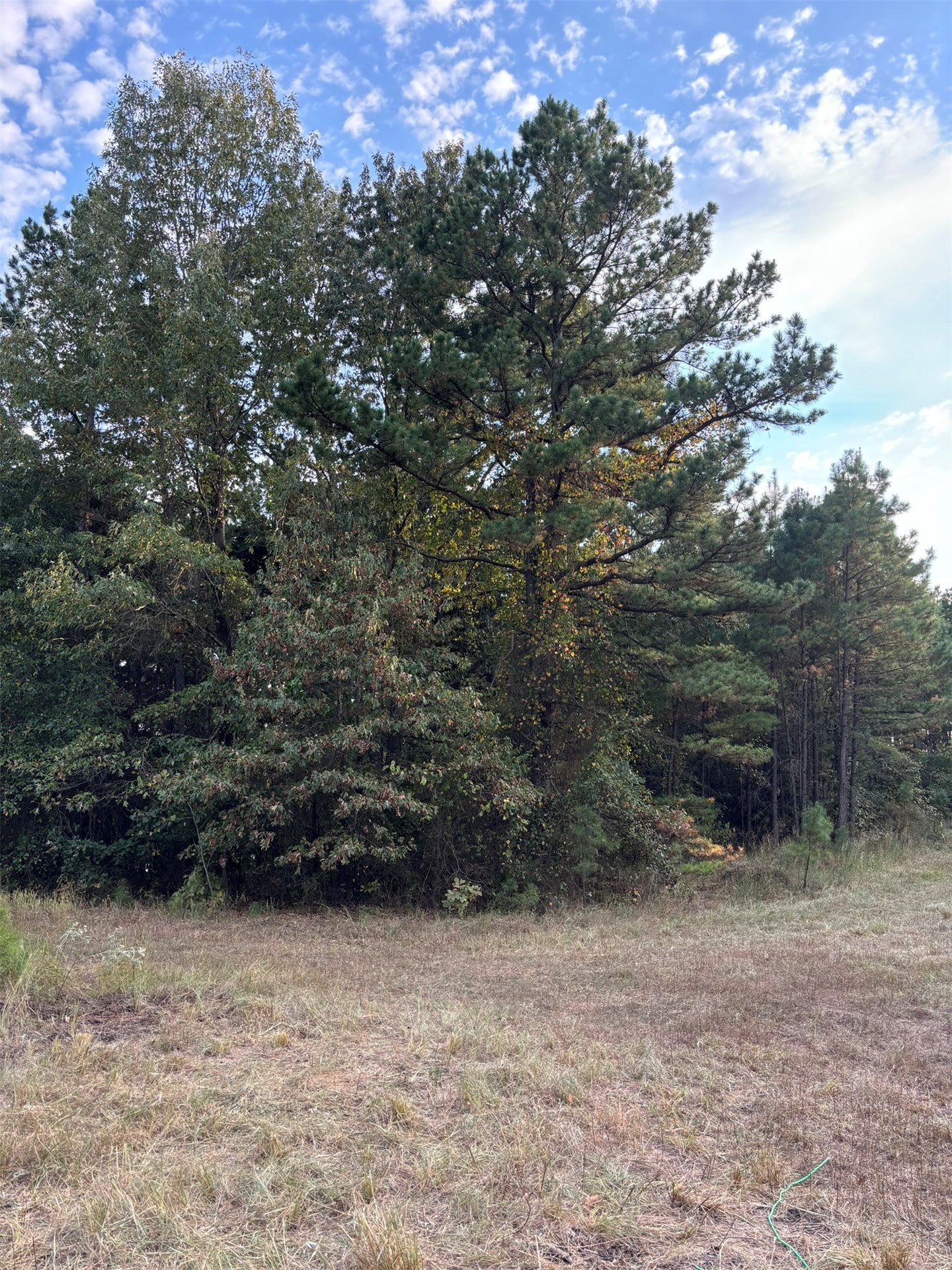 Hwy 3 Property Photo 19