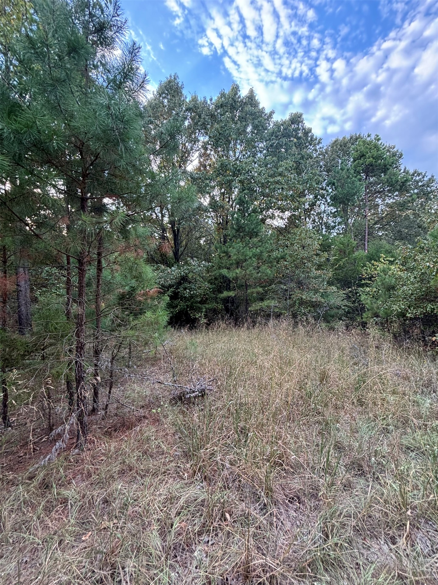 Hwy 3 Property Photo 21