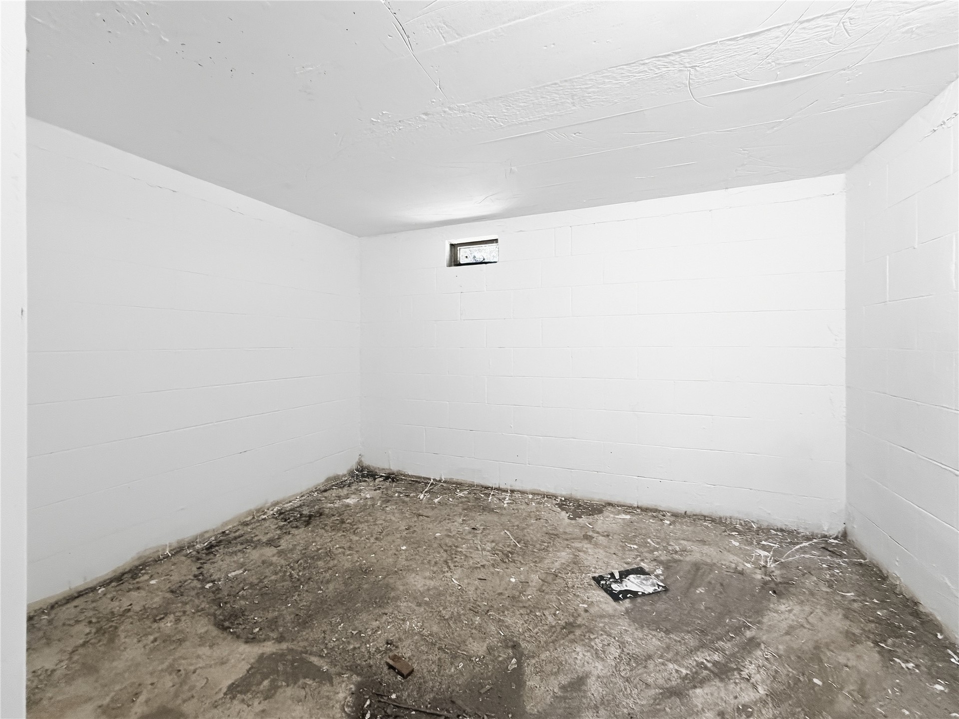 423 W Locust Property Photo 31