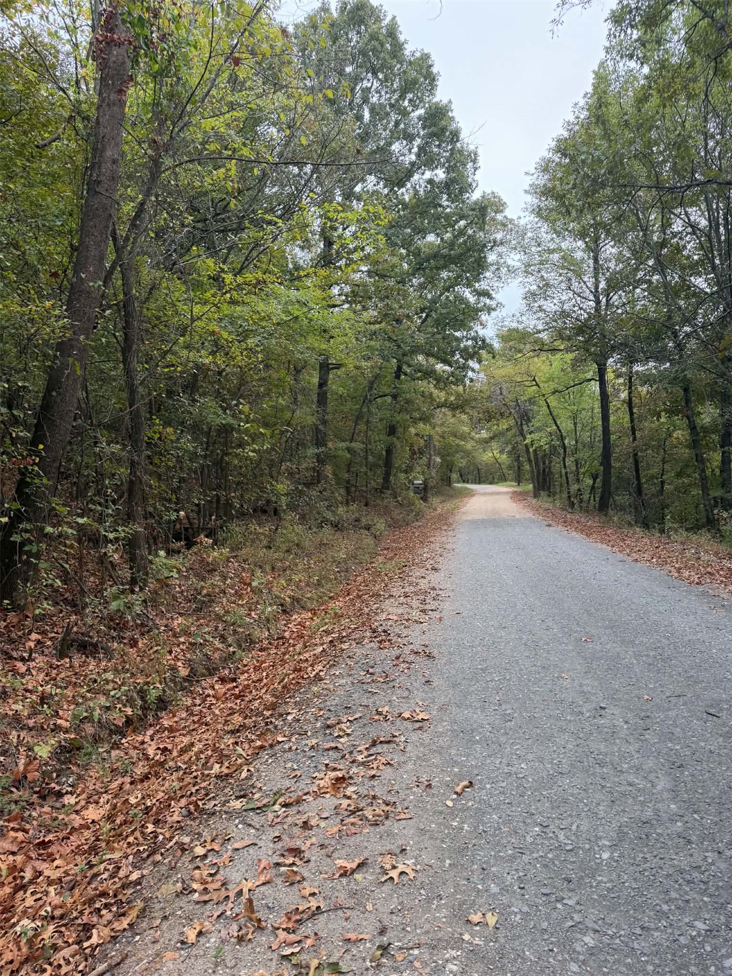 000 Big Rock Road Property Photo 1
