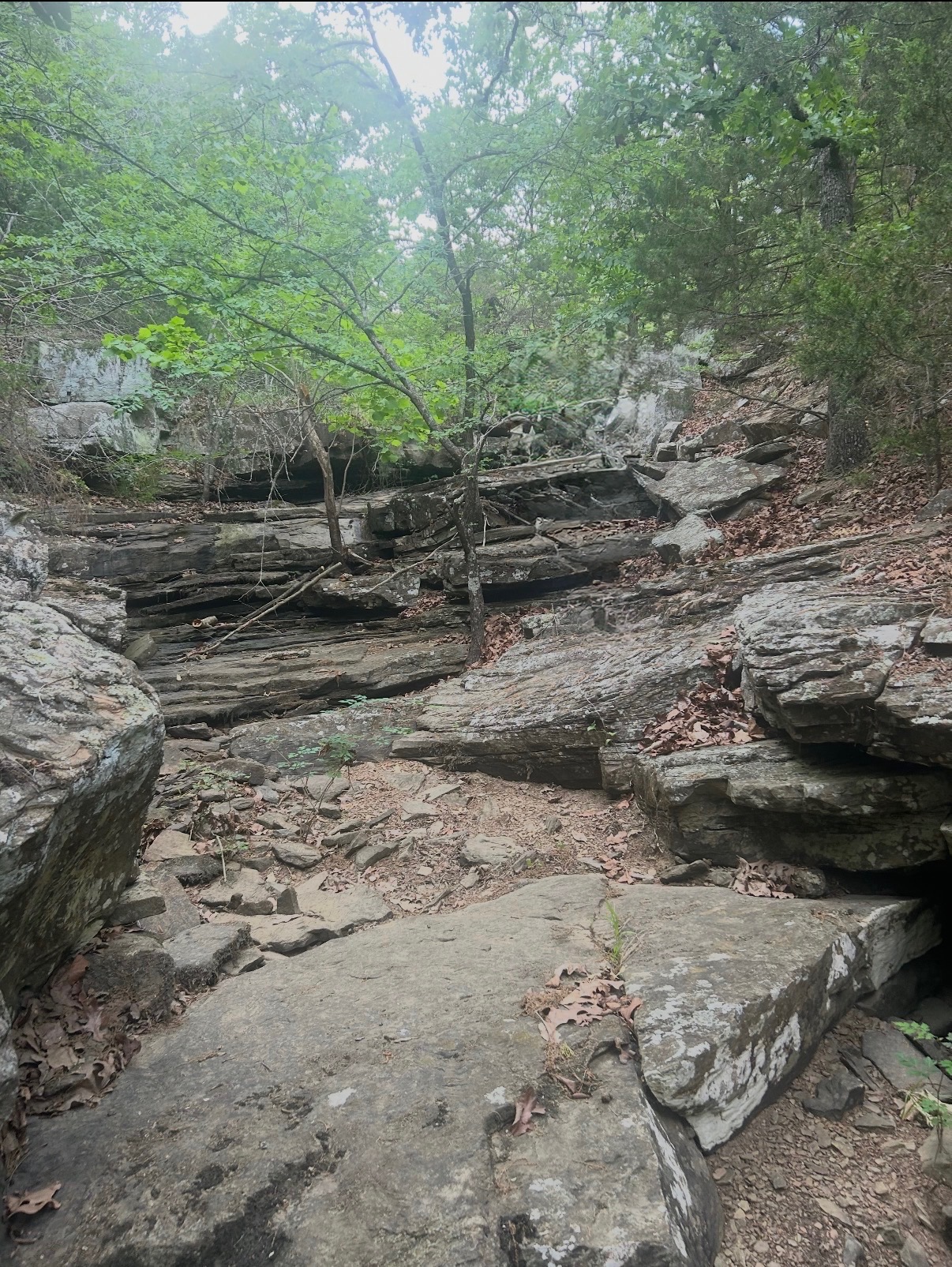 67 1169 Road Property Photo 4