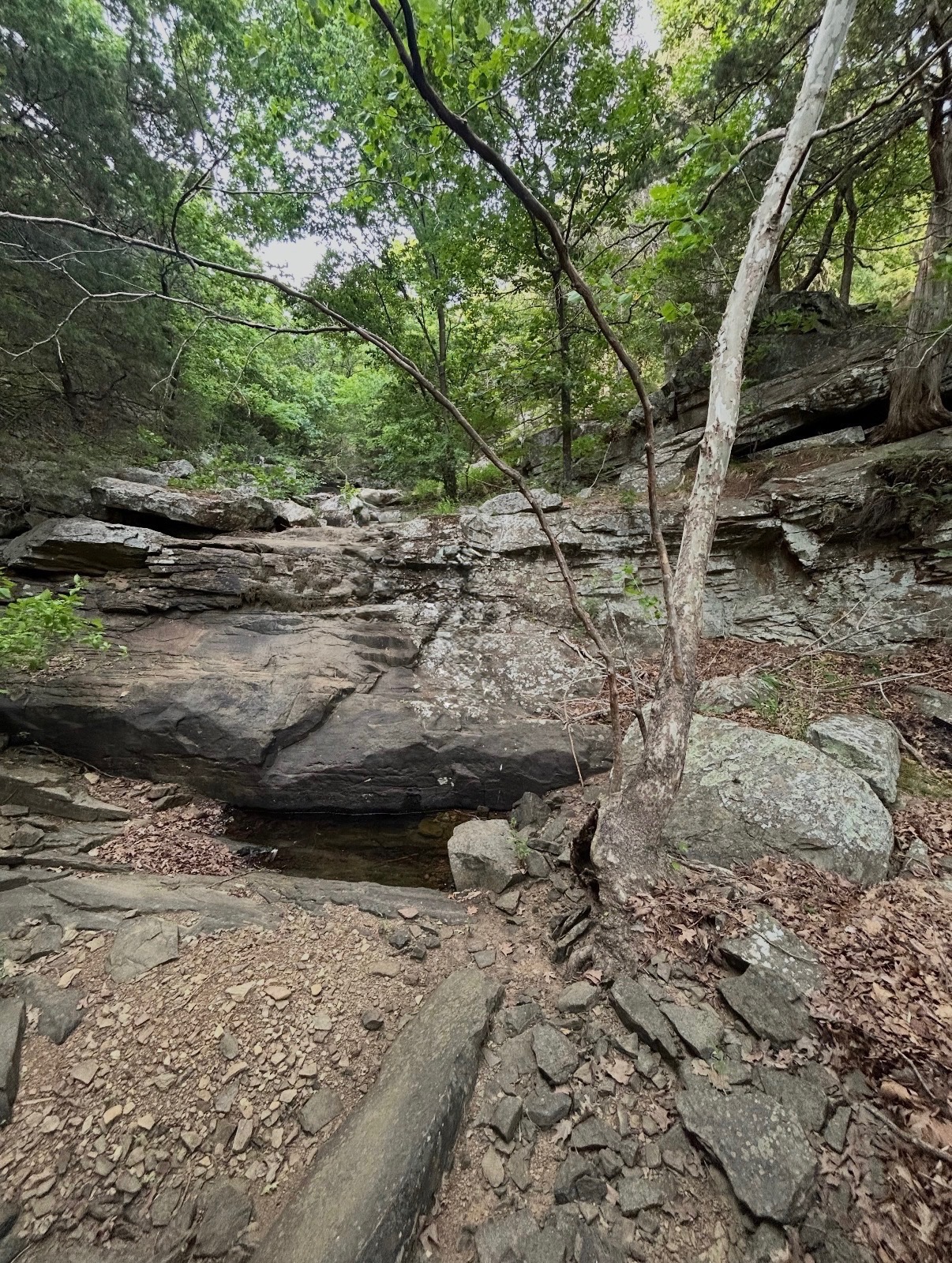 67 1169 Road Property Photo 5