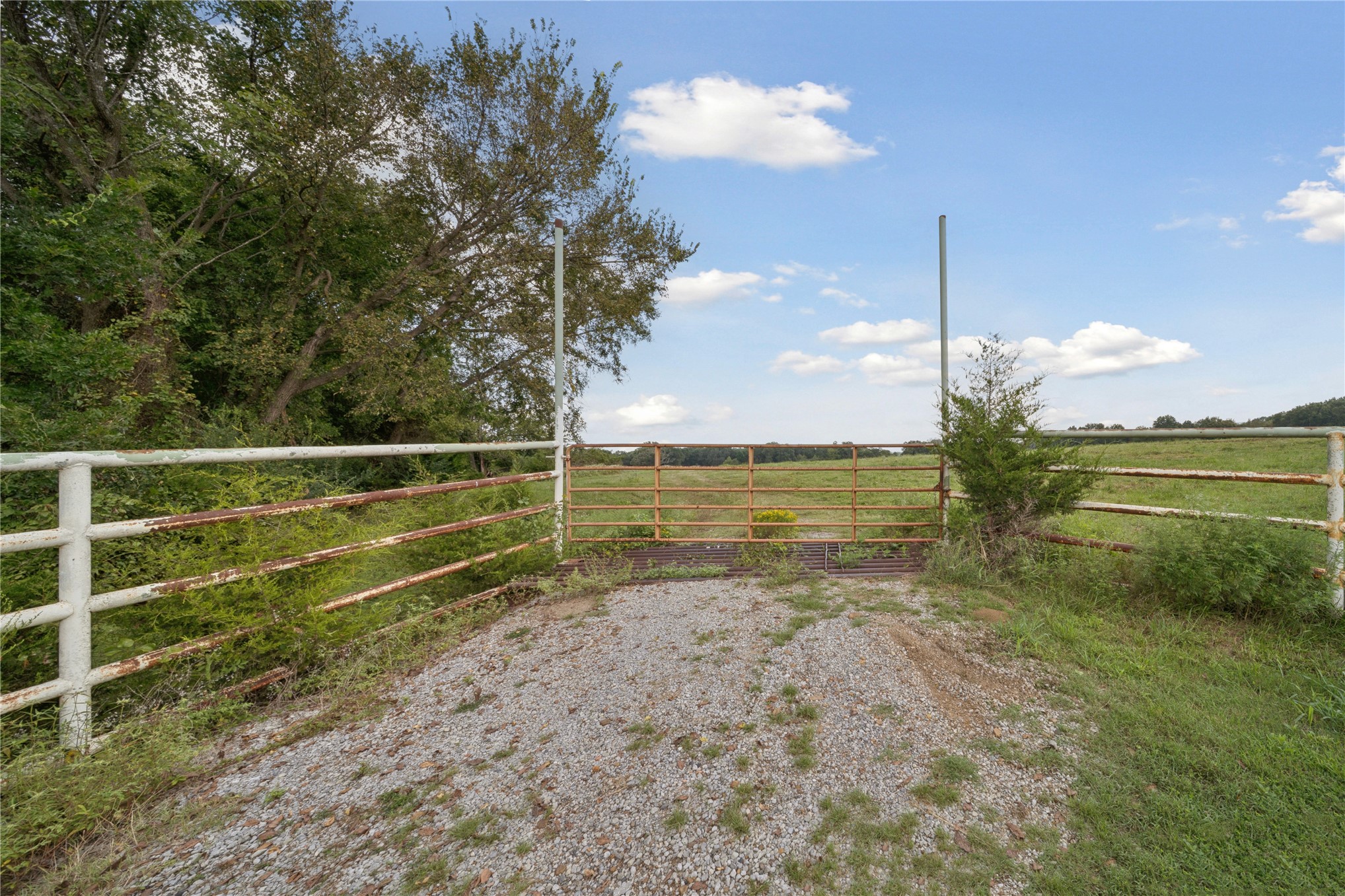 102nd Road Property Photo 29