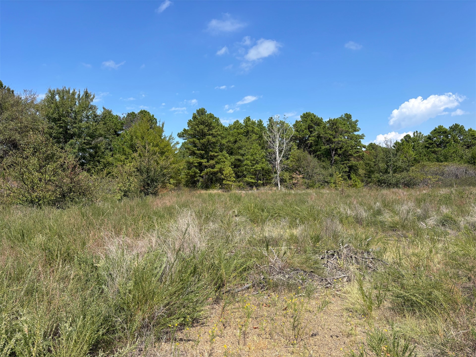 Beaver Mountain Road Property Photo 2
