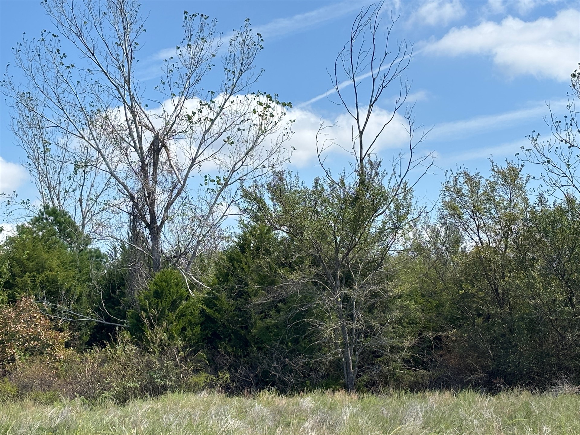 Beaver Mountain Road Property Photo 5
