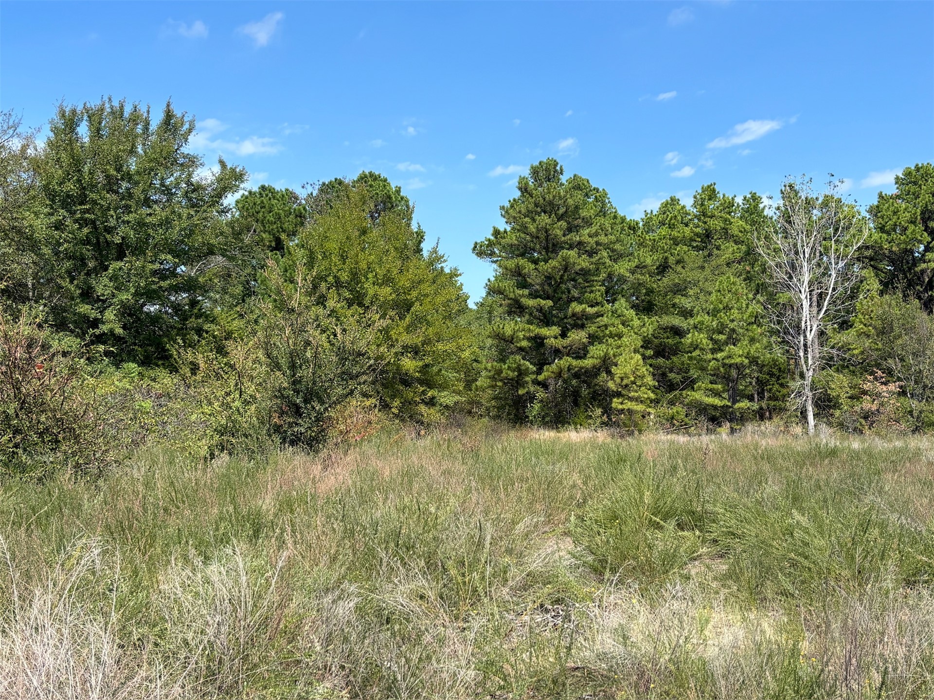 Beaver Mountain Road Property Photo 6