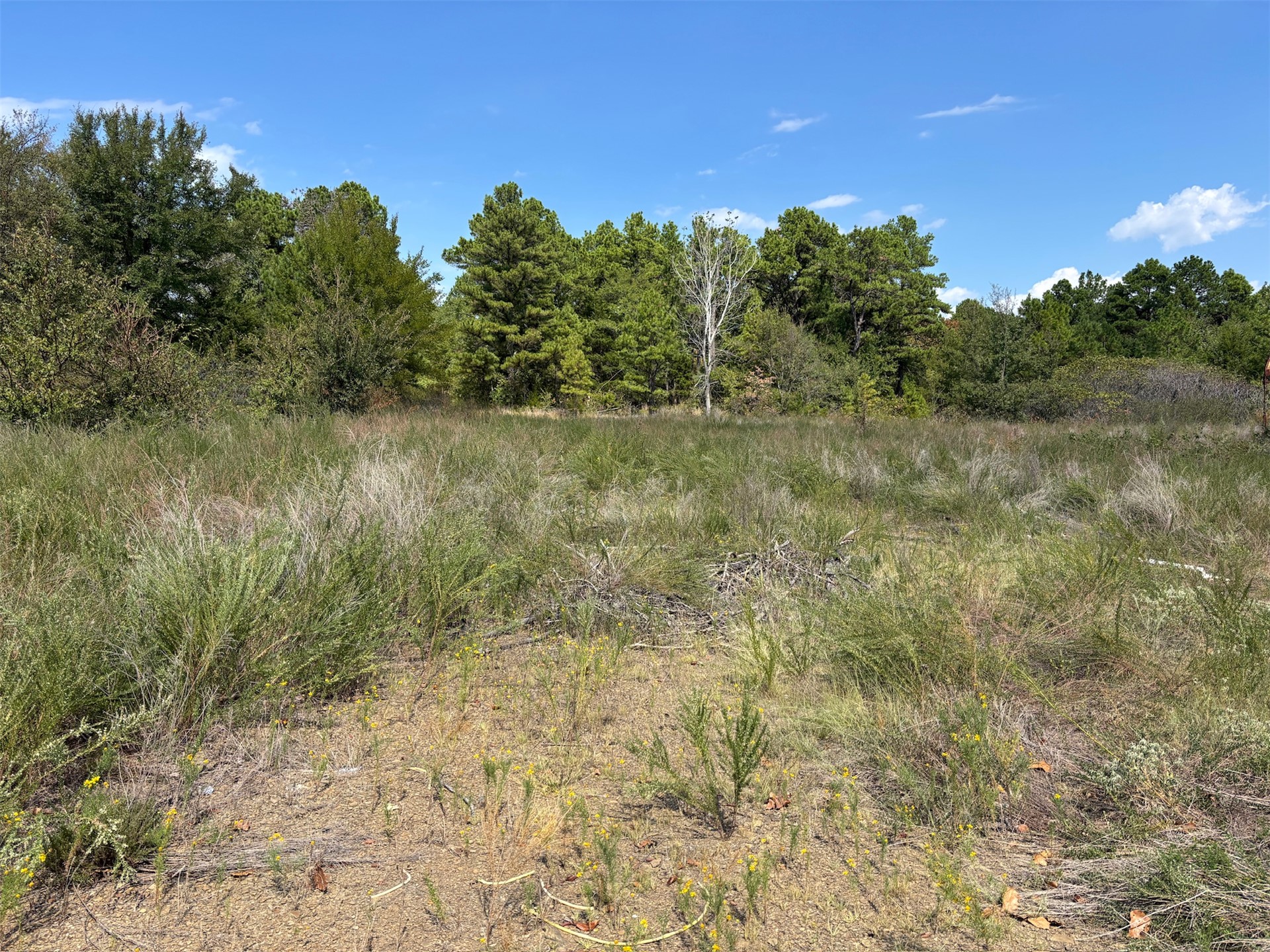Beaver Mountain Road Property Photo 7