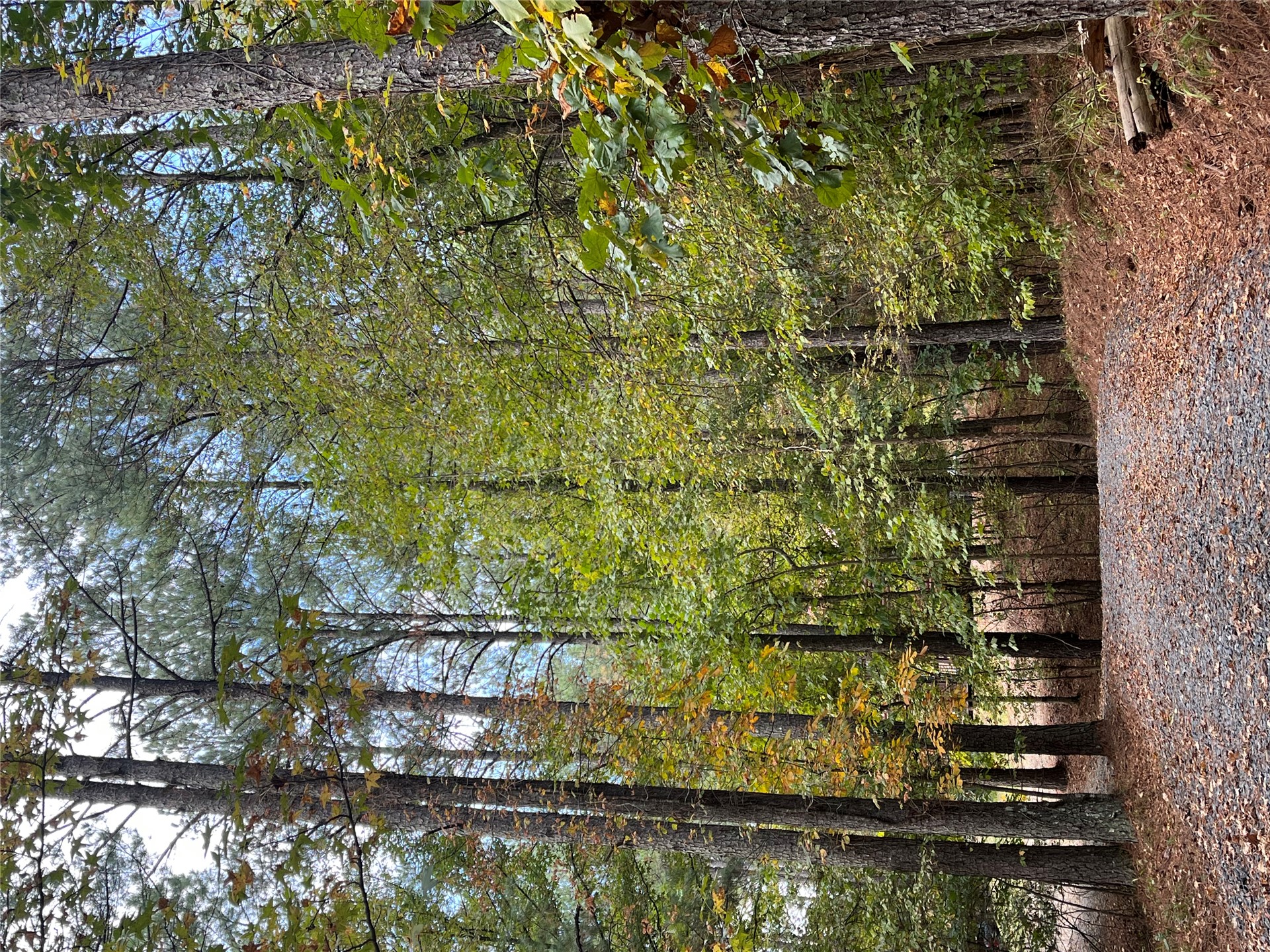57 W High Peak Trail Property Photo 16