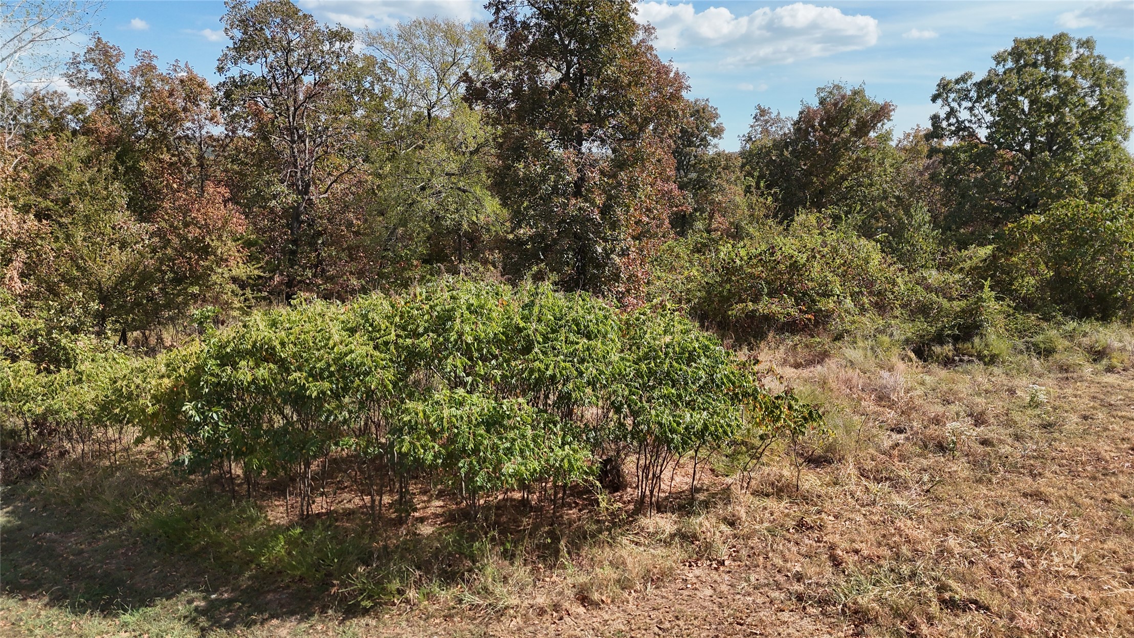 15813 W Redbud Road Property Photo 16