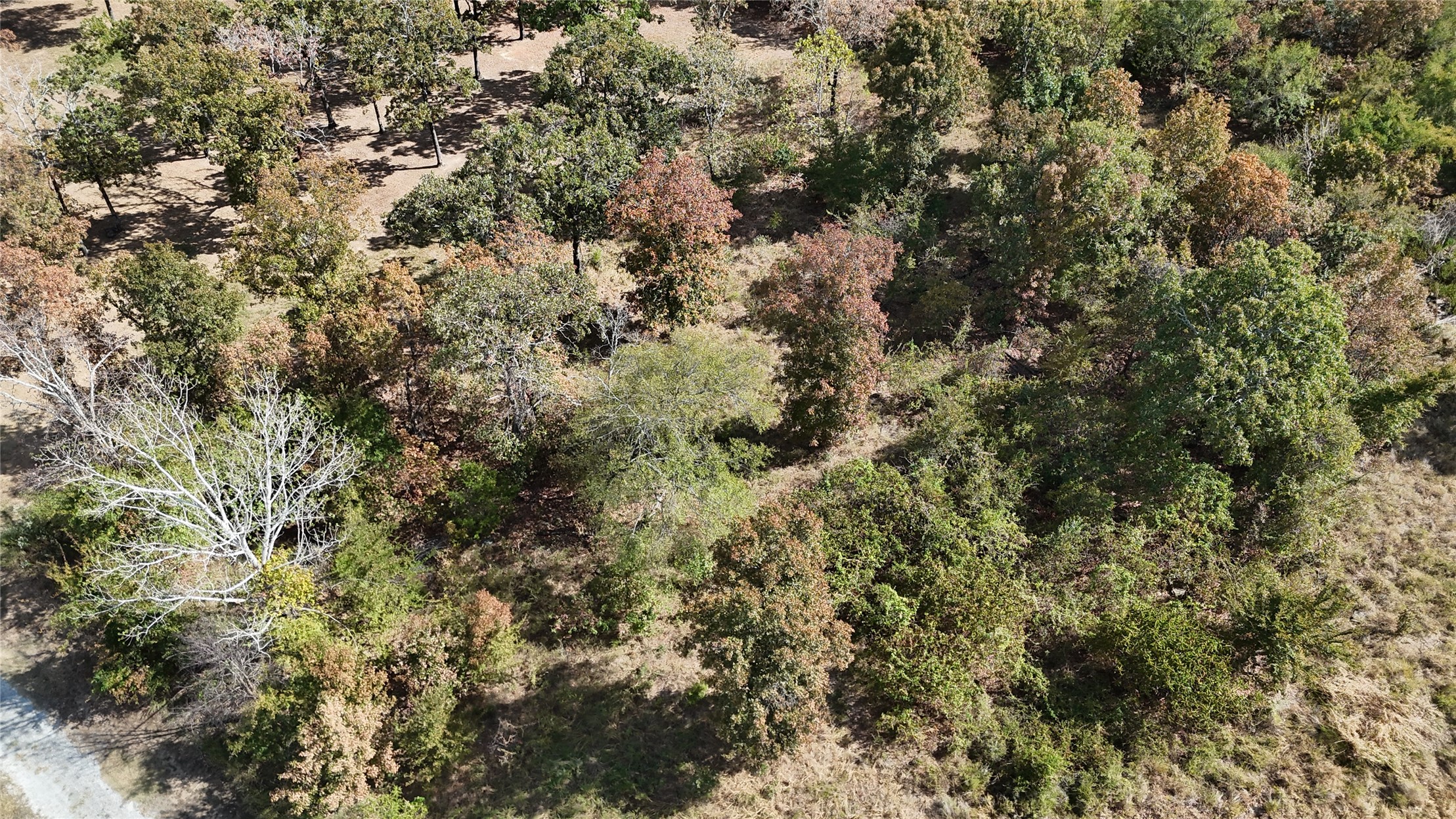 15813 W Redbud Road Property Photo 17