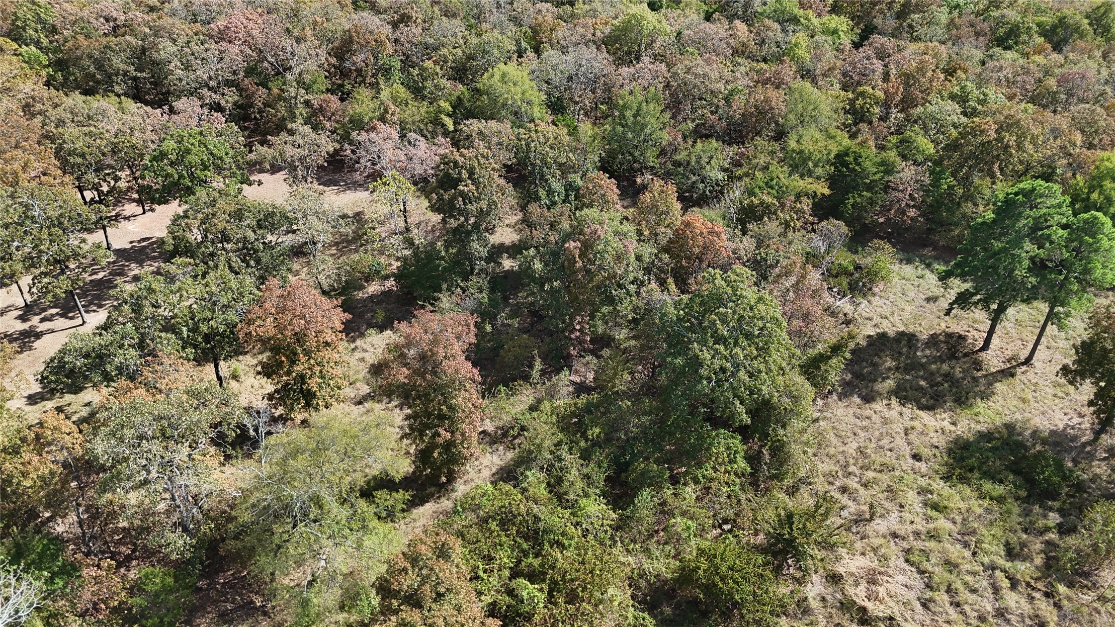 15813 W Redbud Road Property Photo 18