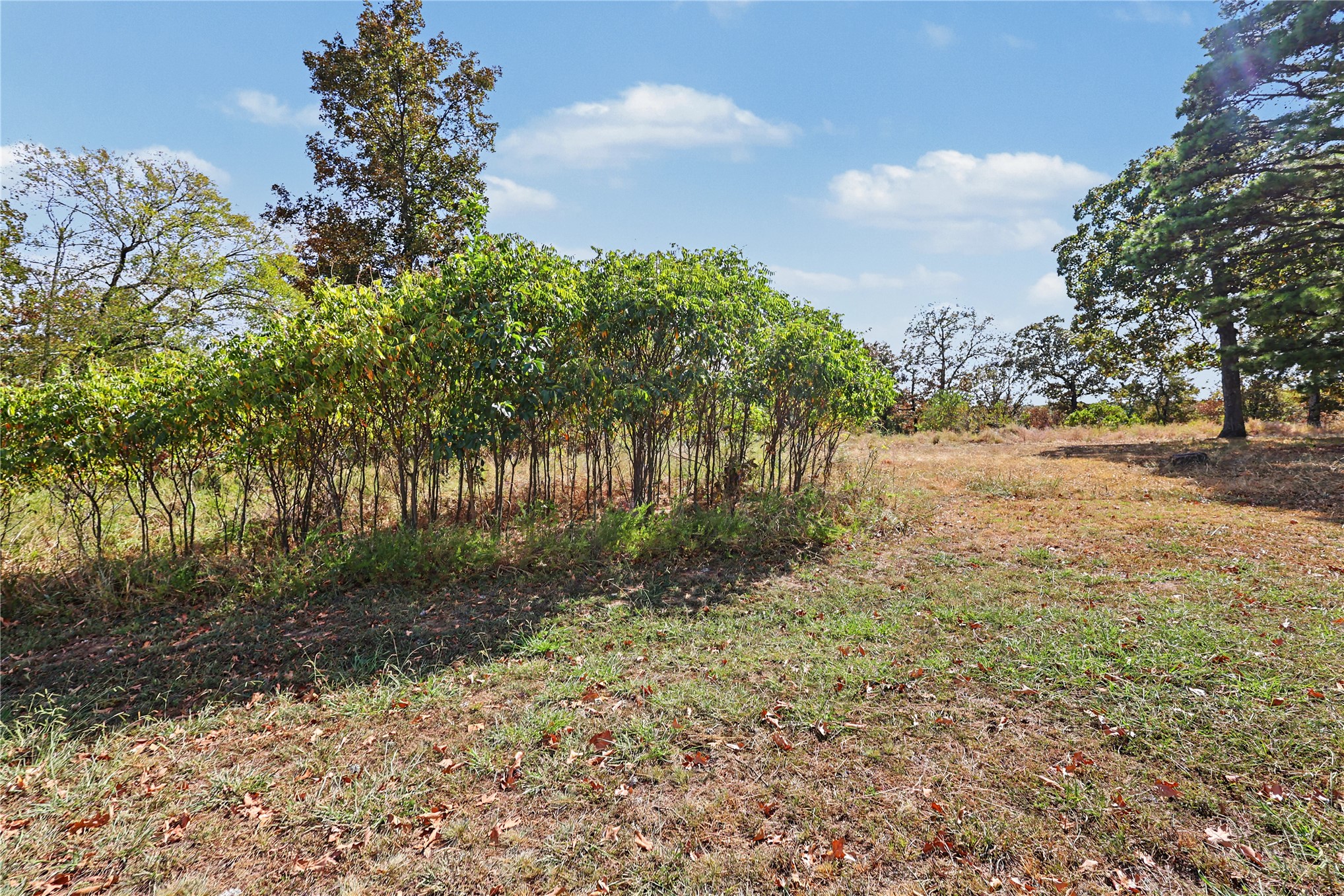 15813 W Redbud Road Property Photo 27