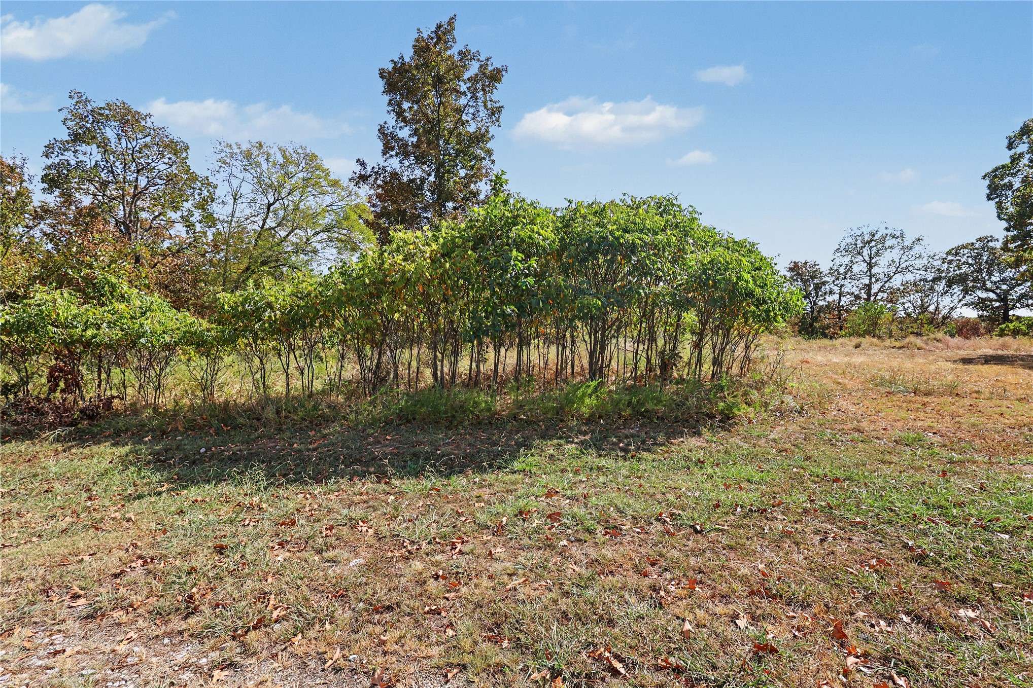 15813 W Redbud Road Property Photo 28
