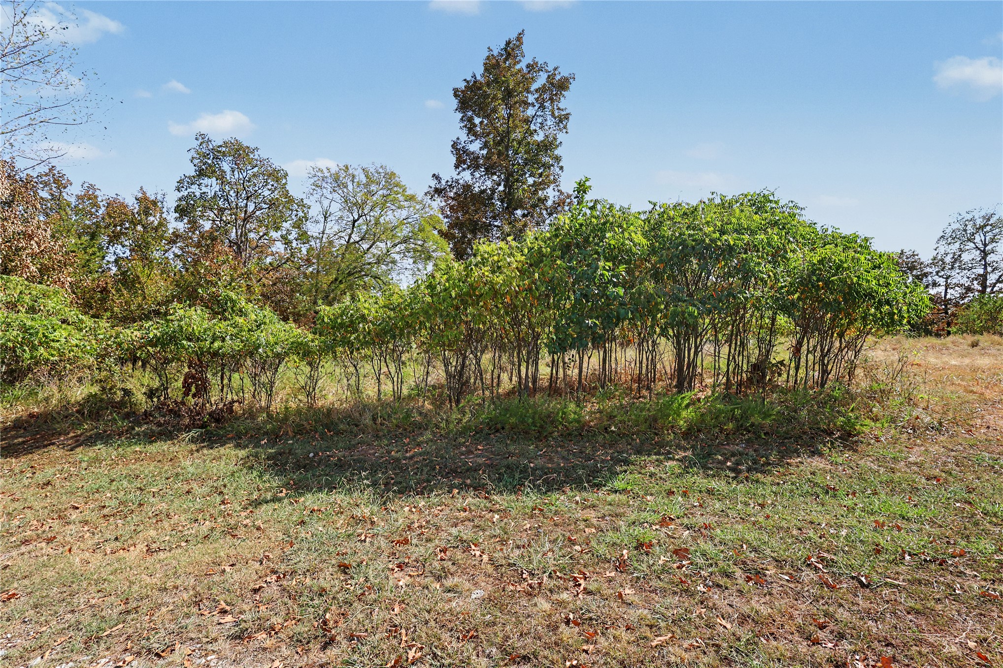 15813 W Redbud Road Property Photo 29