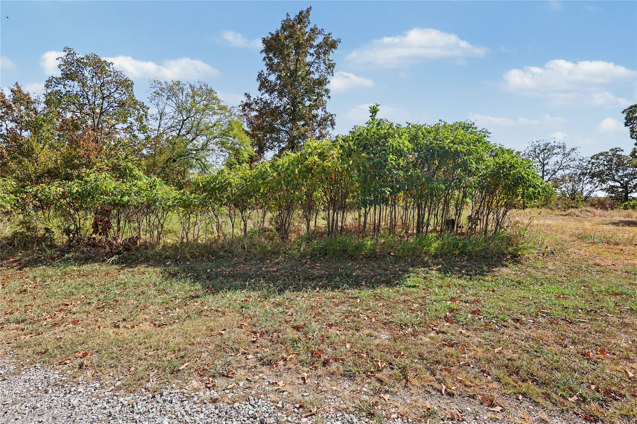 15813 W Redbud Road Property Photo 34