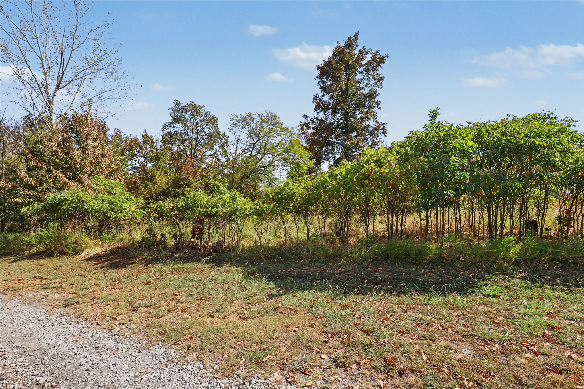 15813 W Redbud Road Property Photo 37
