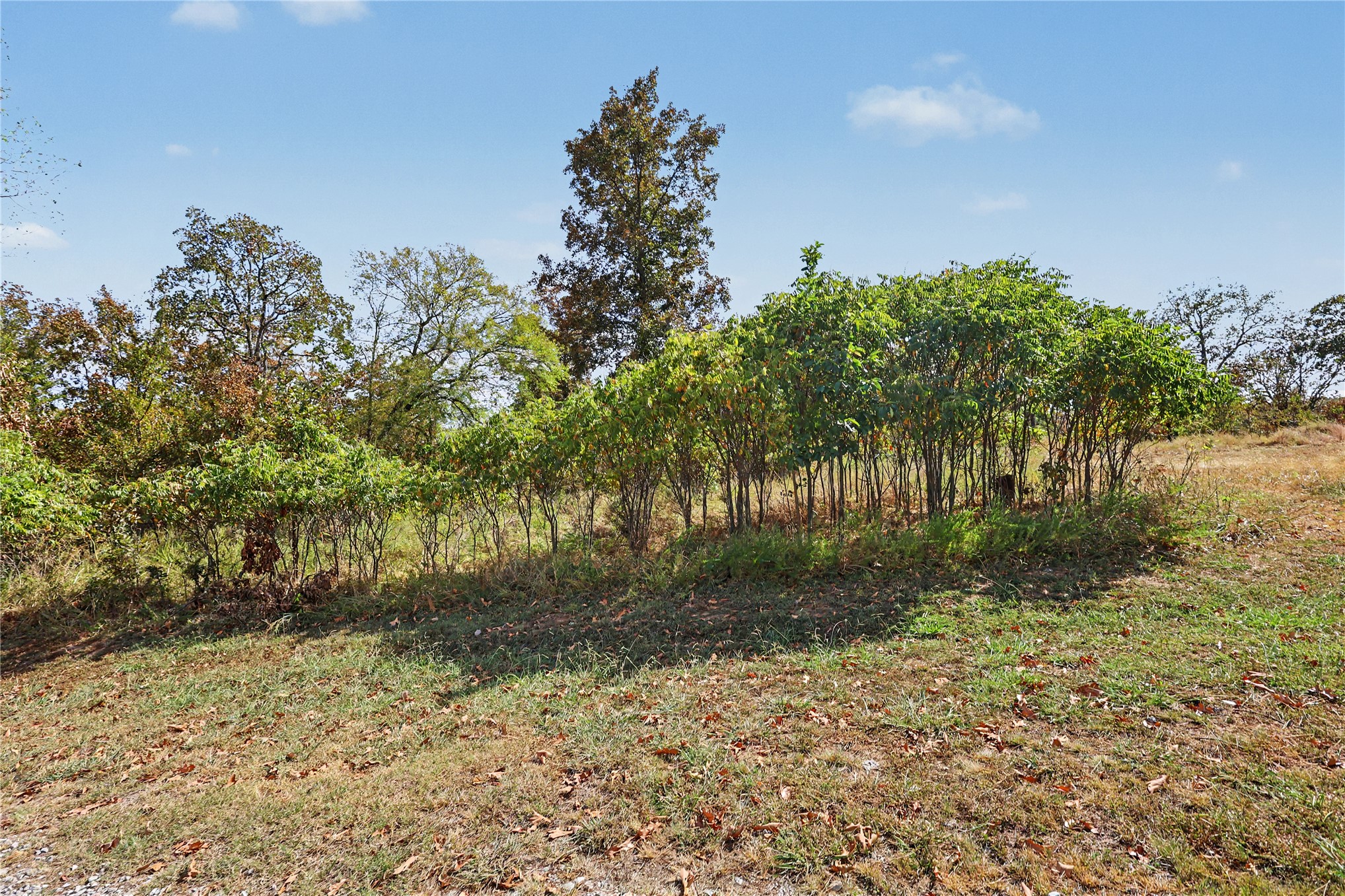 15813 W Redbud Road Property Photo 38