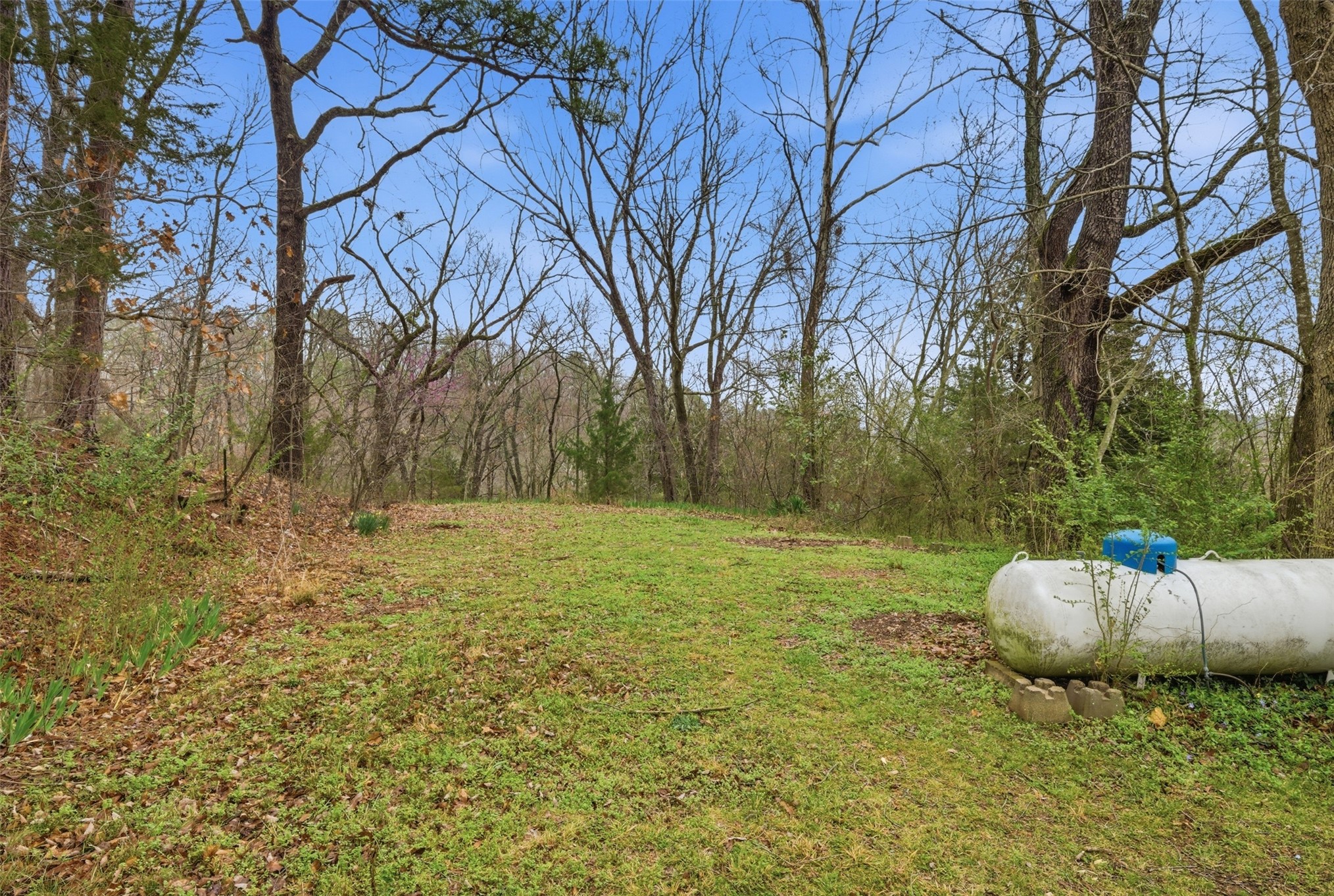 45816 W Country Road 587 Road Property Photo 33