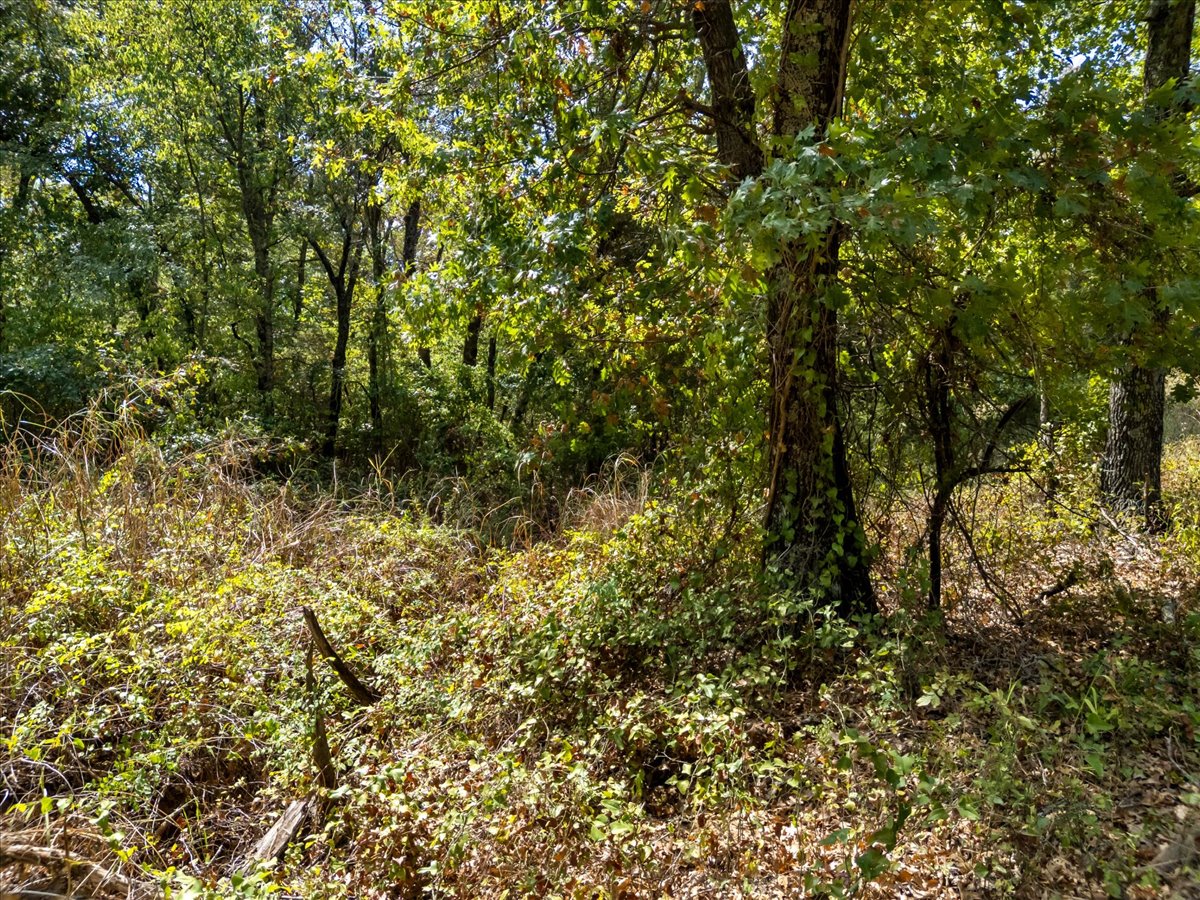 123 E 1410 Road Property Photo 33